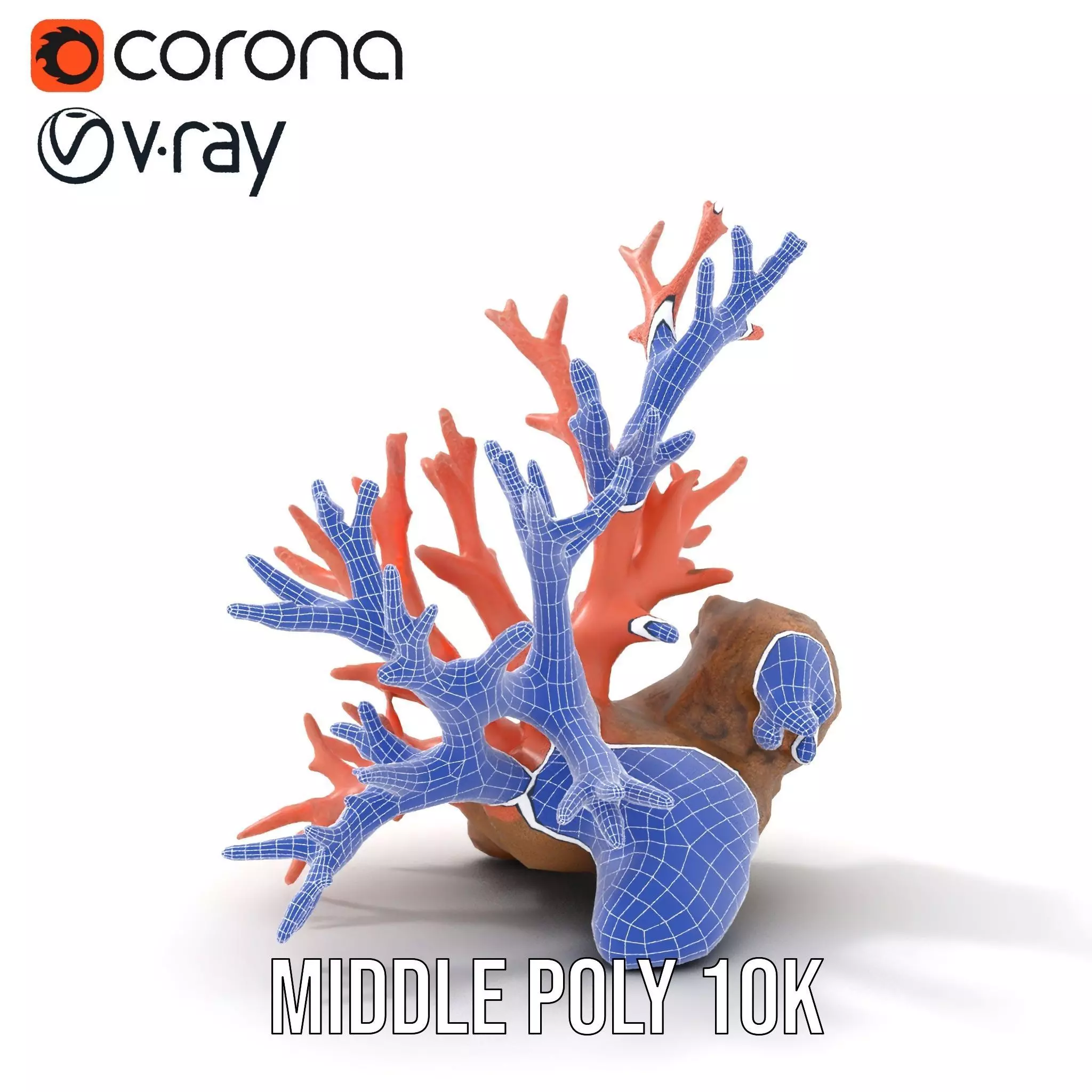 Pink Coral Reef model pack Low-poly 3D model_30