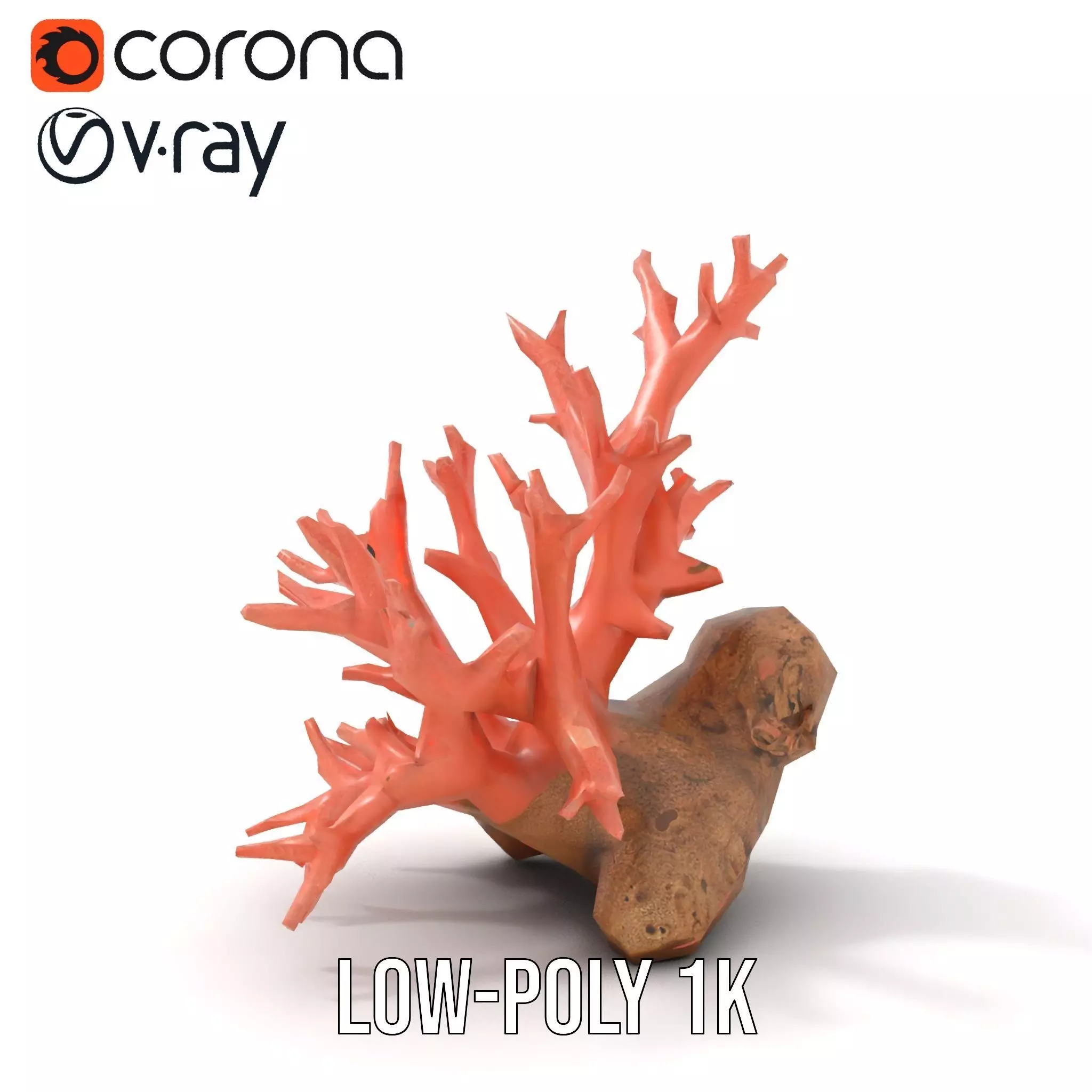 Pink Coral Reef model pack Low-poly 3D model_23