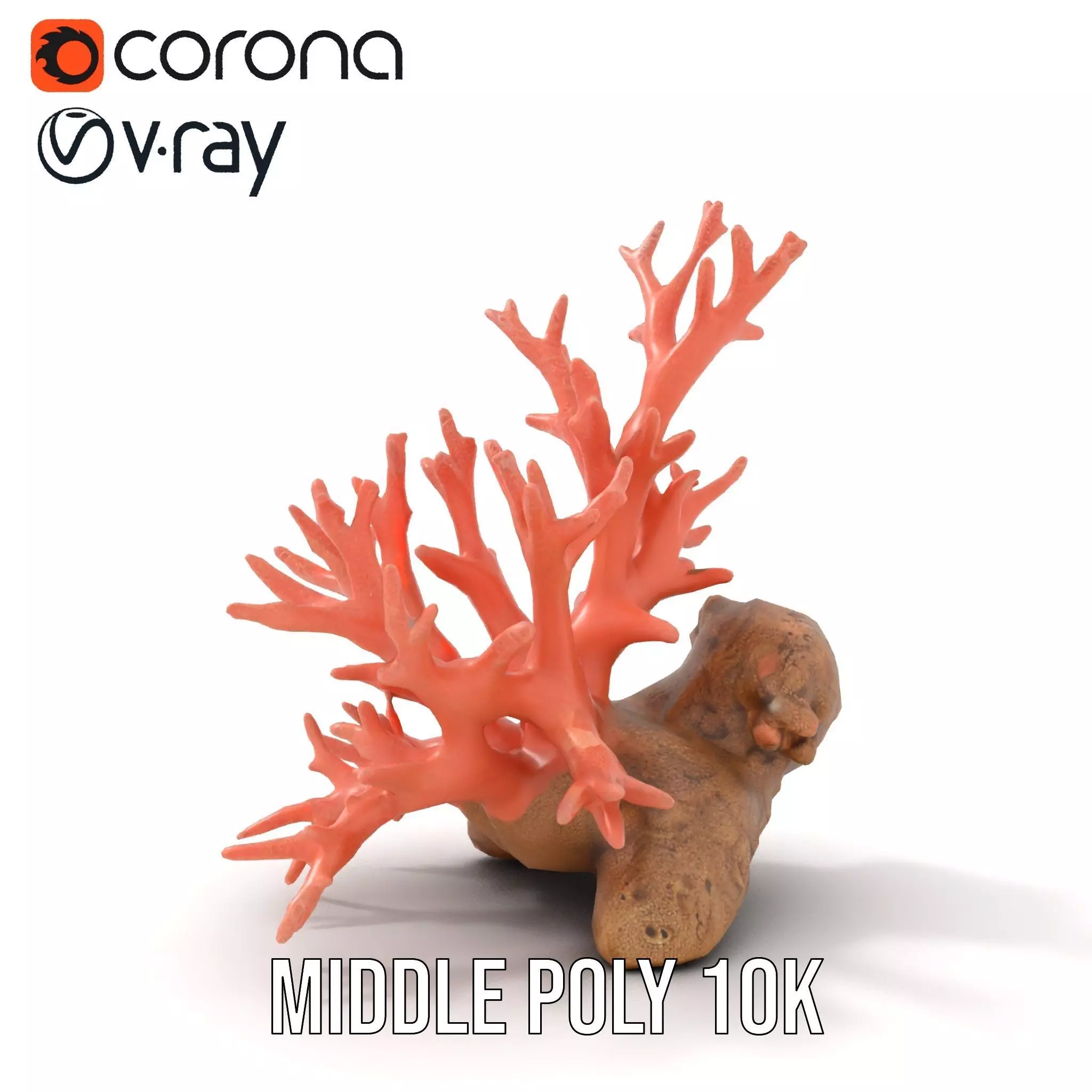 Pink Coral Reef model pack Low-poly 3D model_5