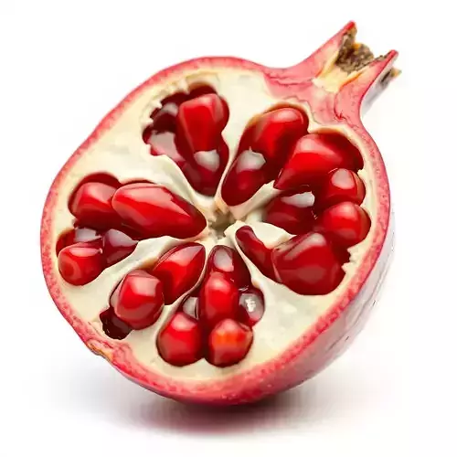 Vibrant Pomegranate model pack Low-poly 3D model 2