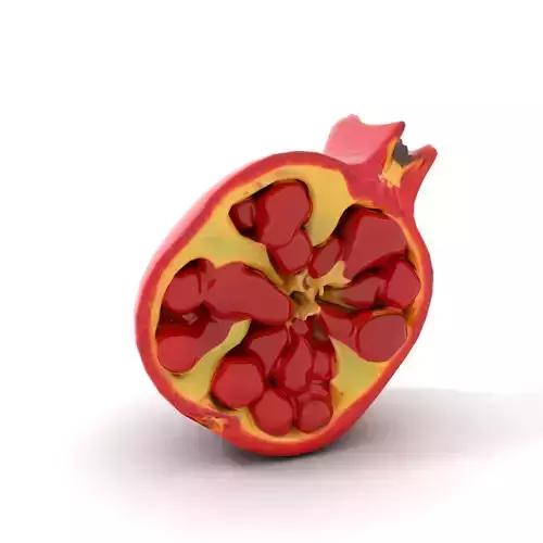 Vibrant Pomegranate model pack Low-poly 3D model 6
