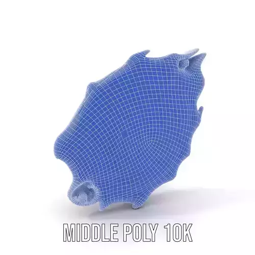 Vibrant Dragon Fruit model pack Low-poly 3D model 5
