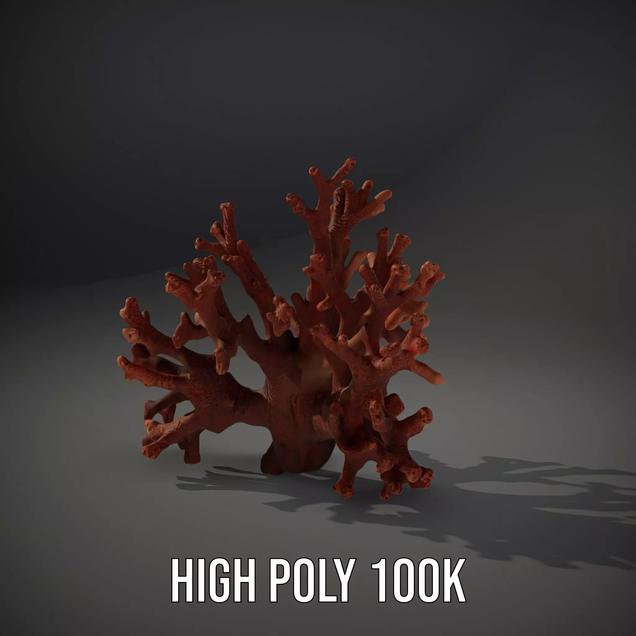 Rustic Coral Structure model pack Low-poly 3D model_10