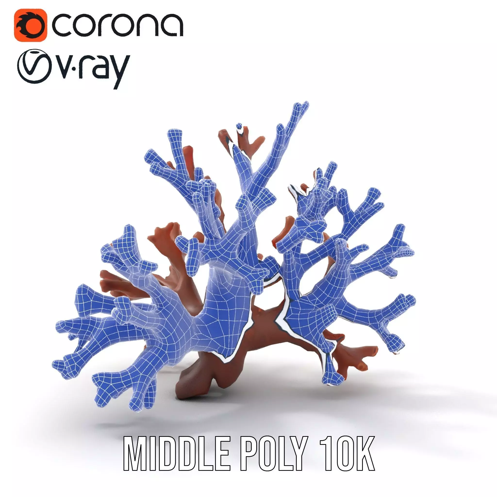 Rustic Coral Structure model pack Low-poly 3D model_24