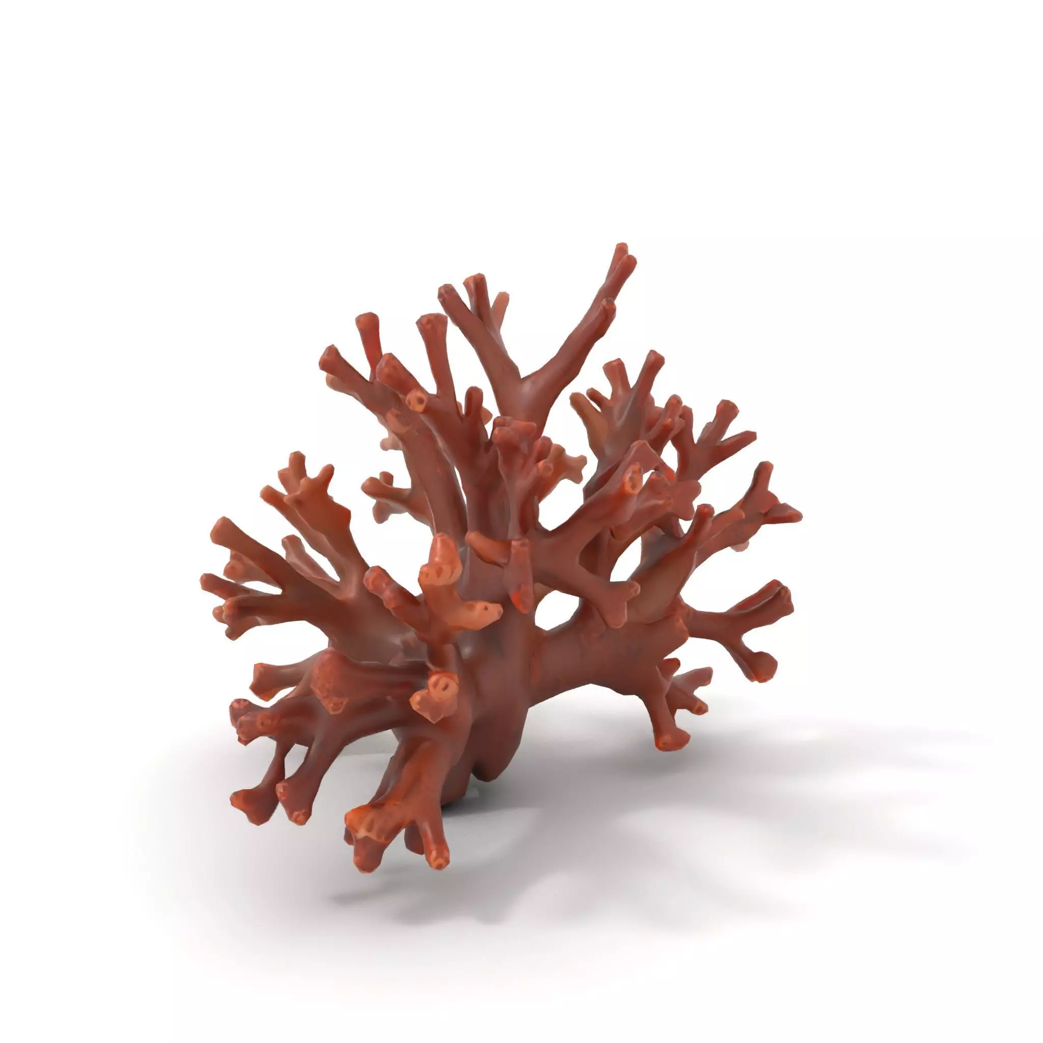 Rustic Coral Structure model pack Low-poly 3D model_16