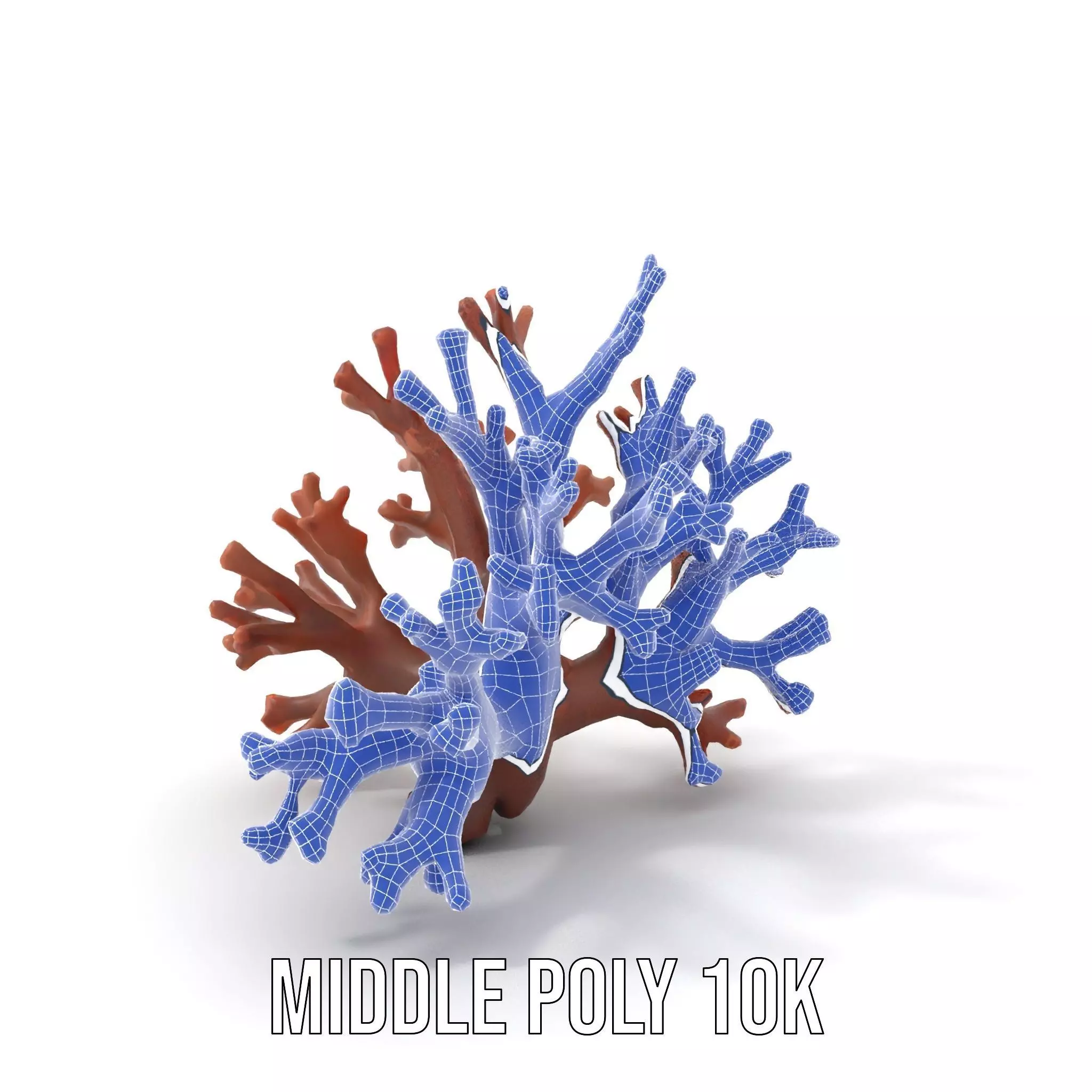 Rustic Coral Structure model pack Low-poly 3D model_13