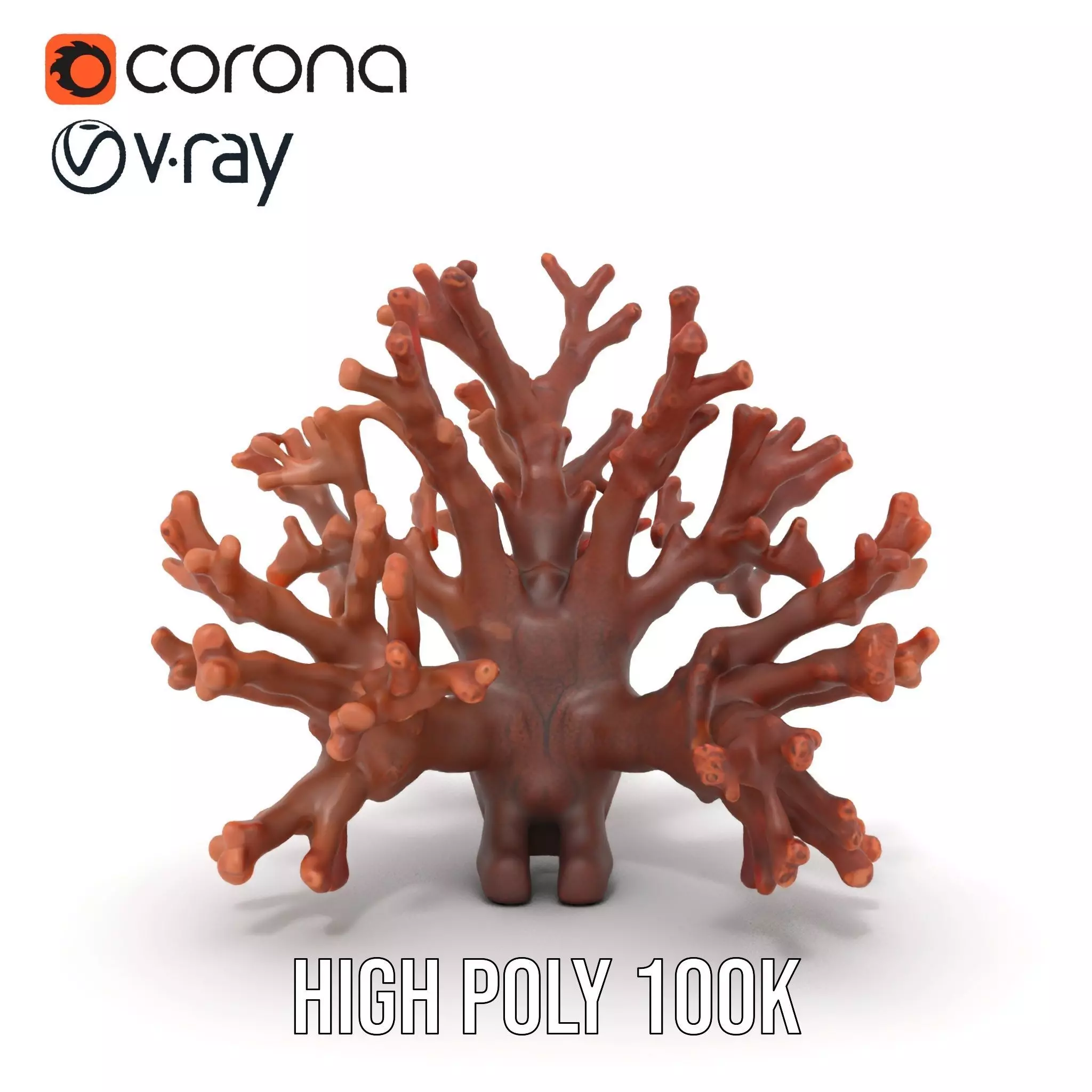 Rustic Coral Structure model pack Low-poly 3D model_26