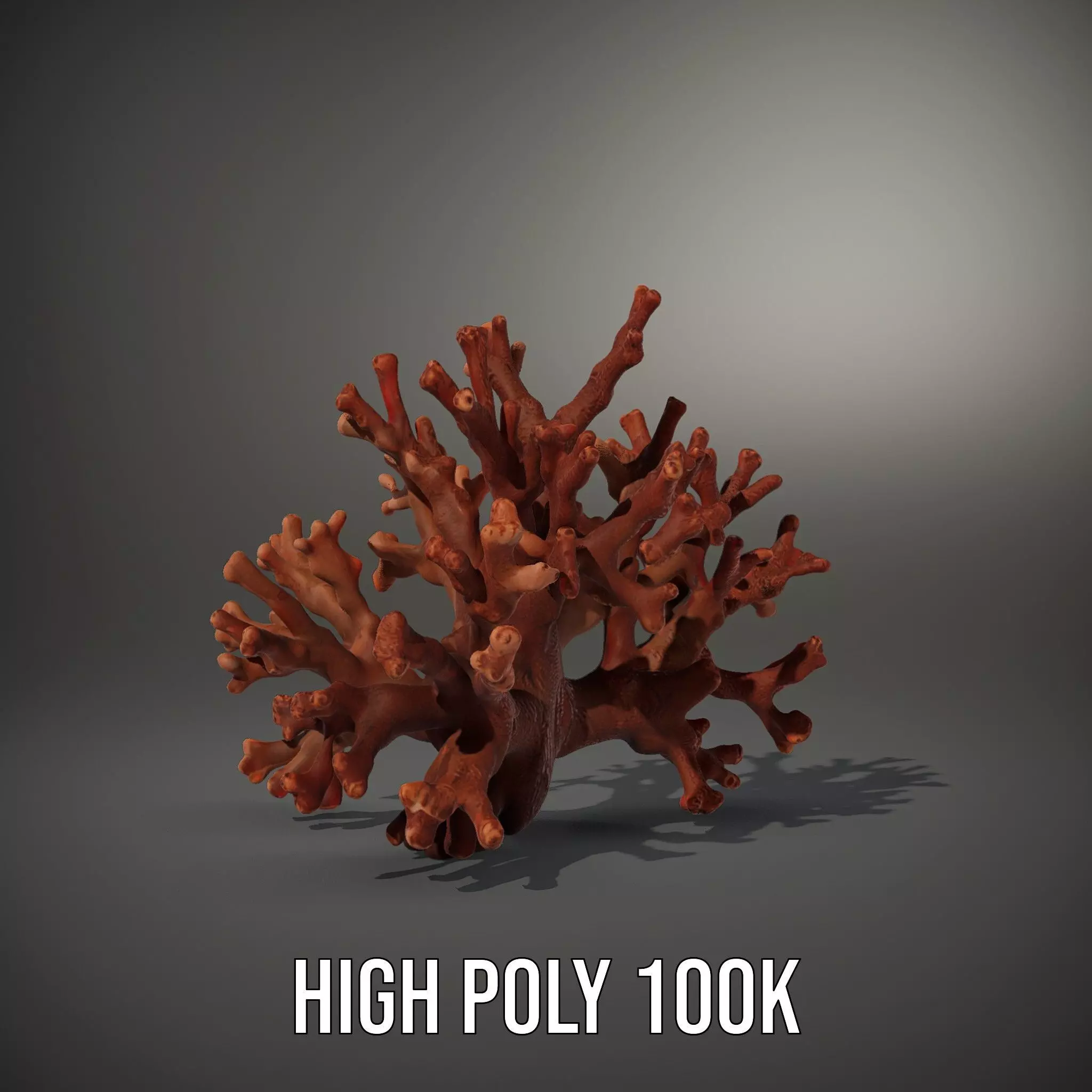 Rustic Coral Structure model pack Low-poly 3D model_8