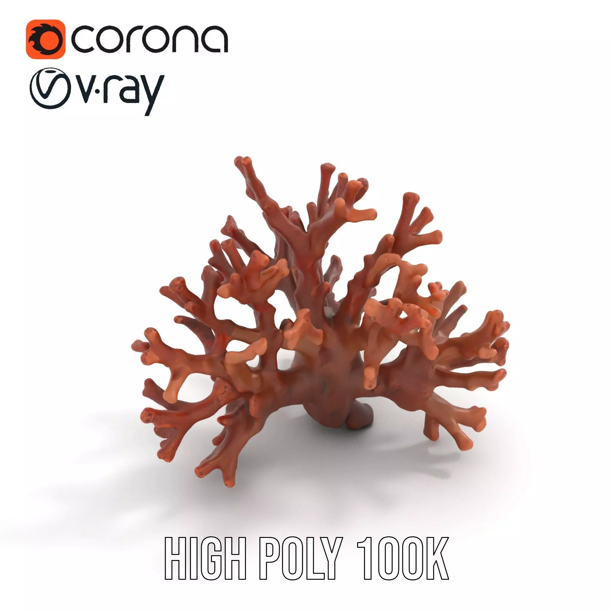 Rustic Coral Structure model pack Low-poly 3D model_20