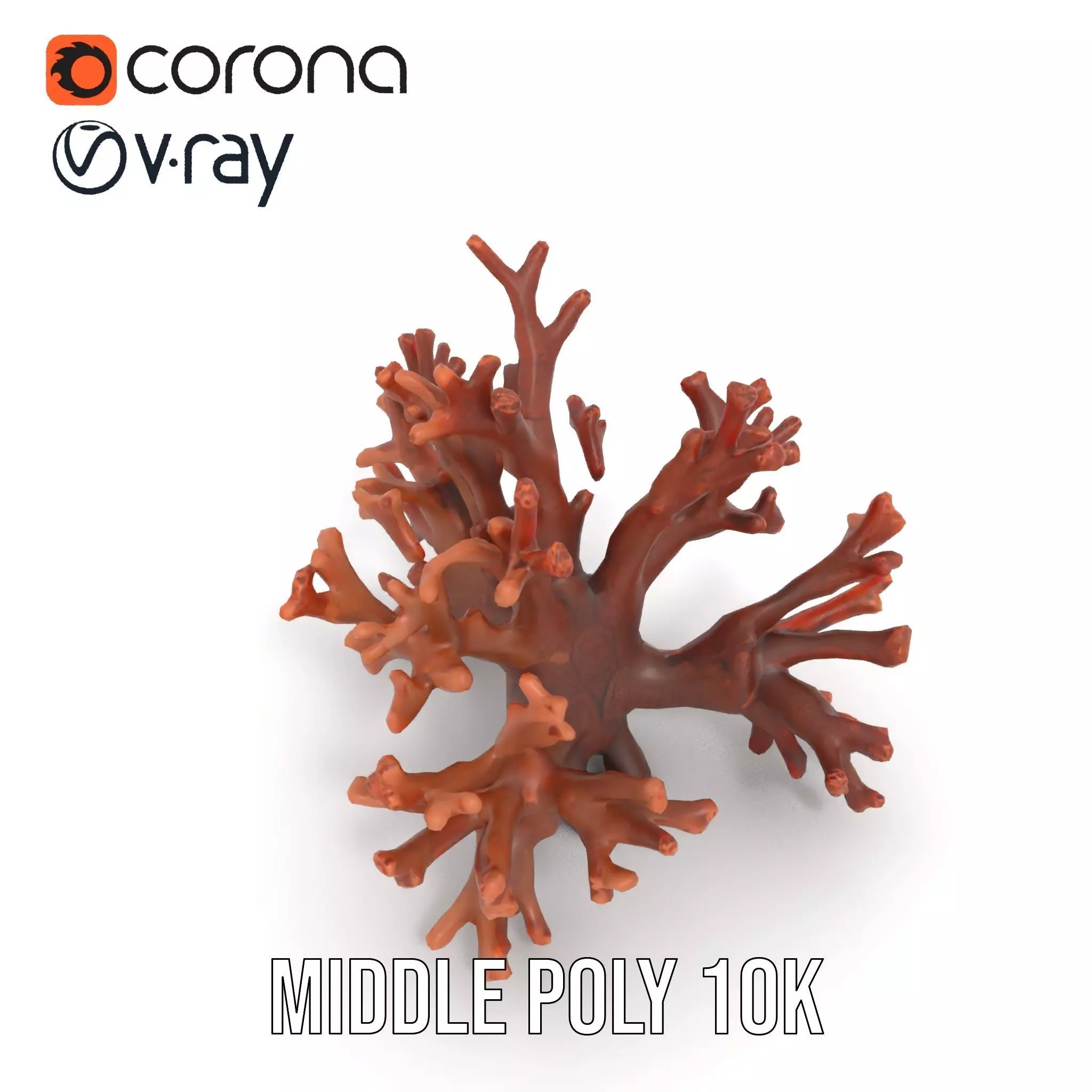 Rustic Coral Structure model pack Low-poly 3D model_11