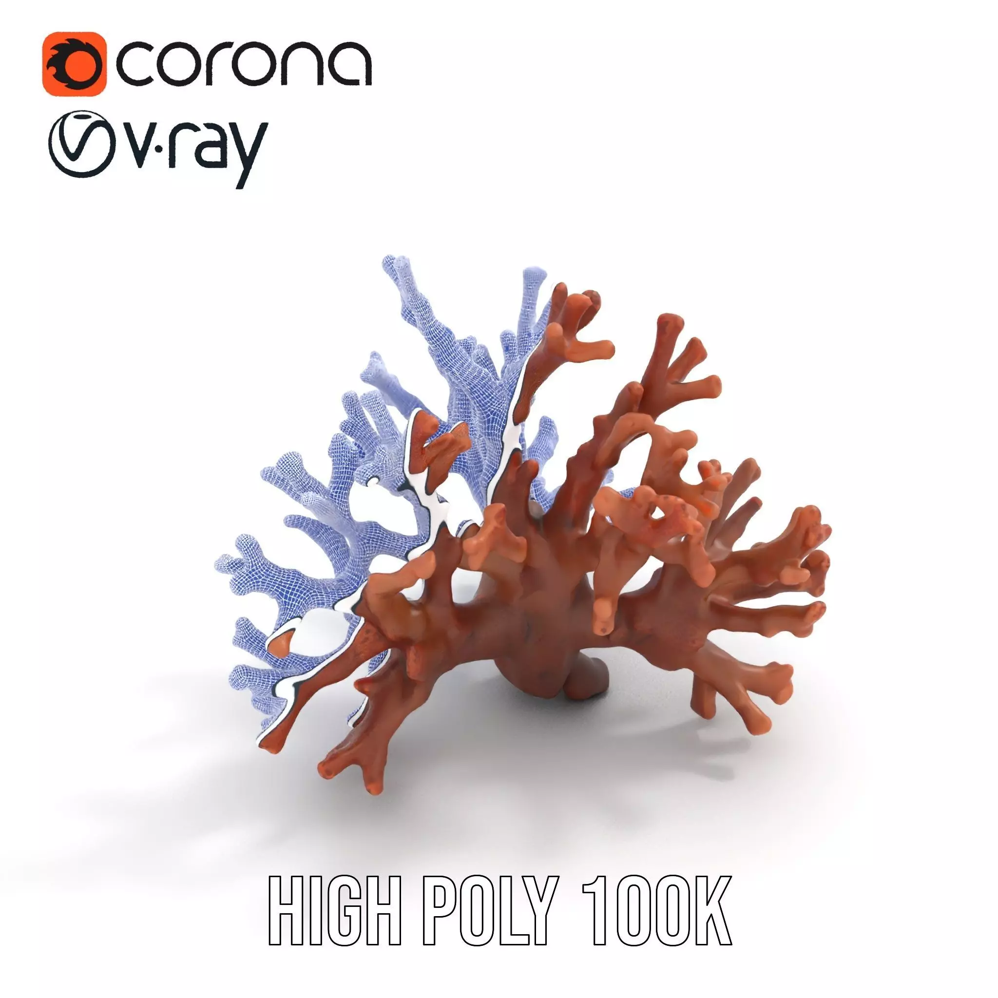 Rustic Coral Structure model pack Low-poly 3D model_32