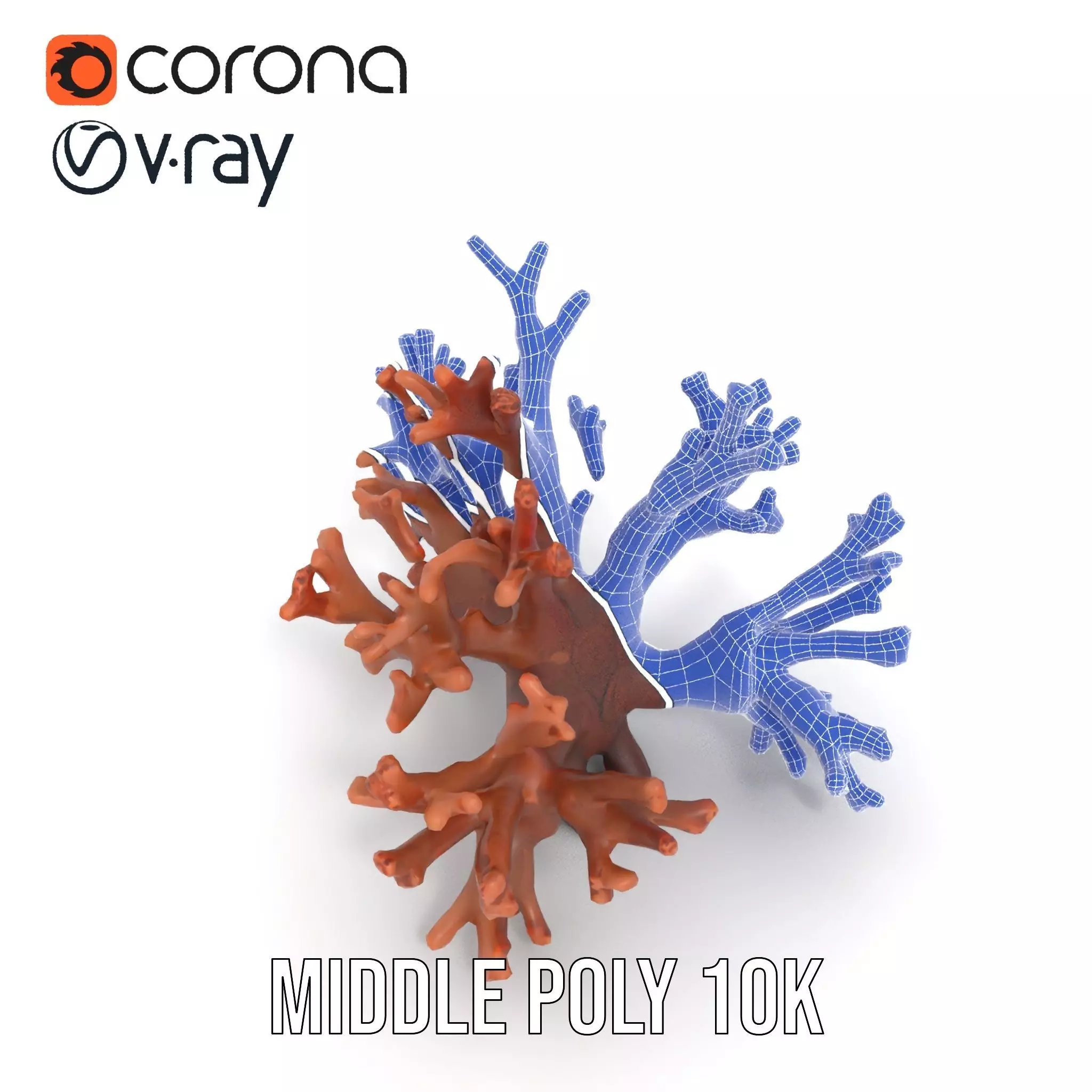 Rustic Coral Structure model pack Low-poly 3D model_27