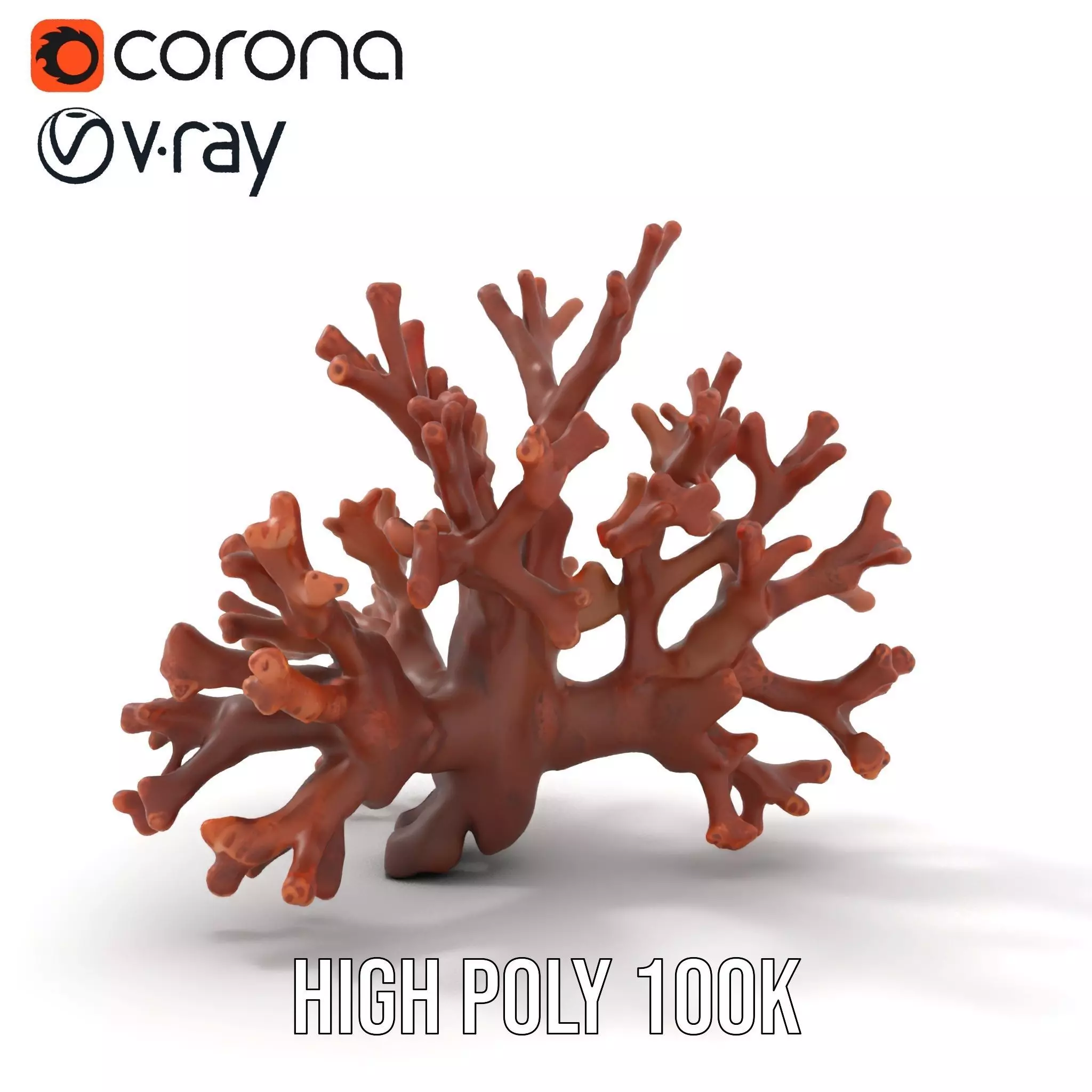 Rustic Coral Structure model pack Low-poly 3D model_23