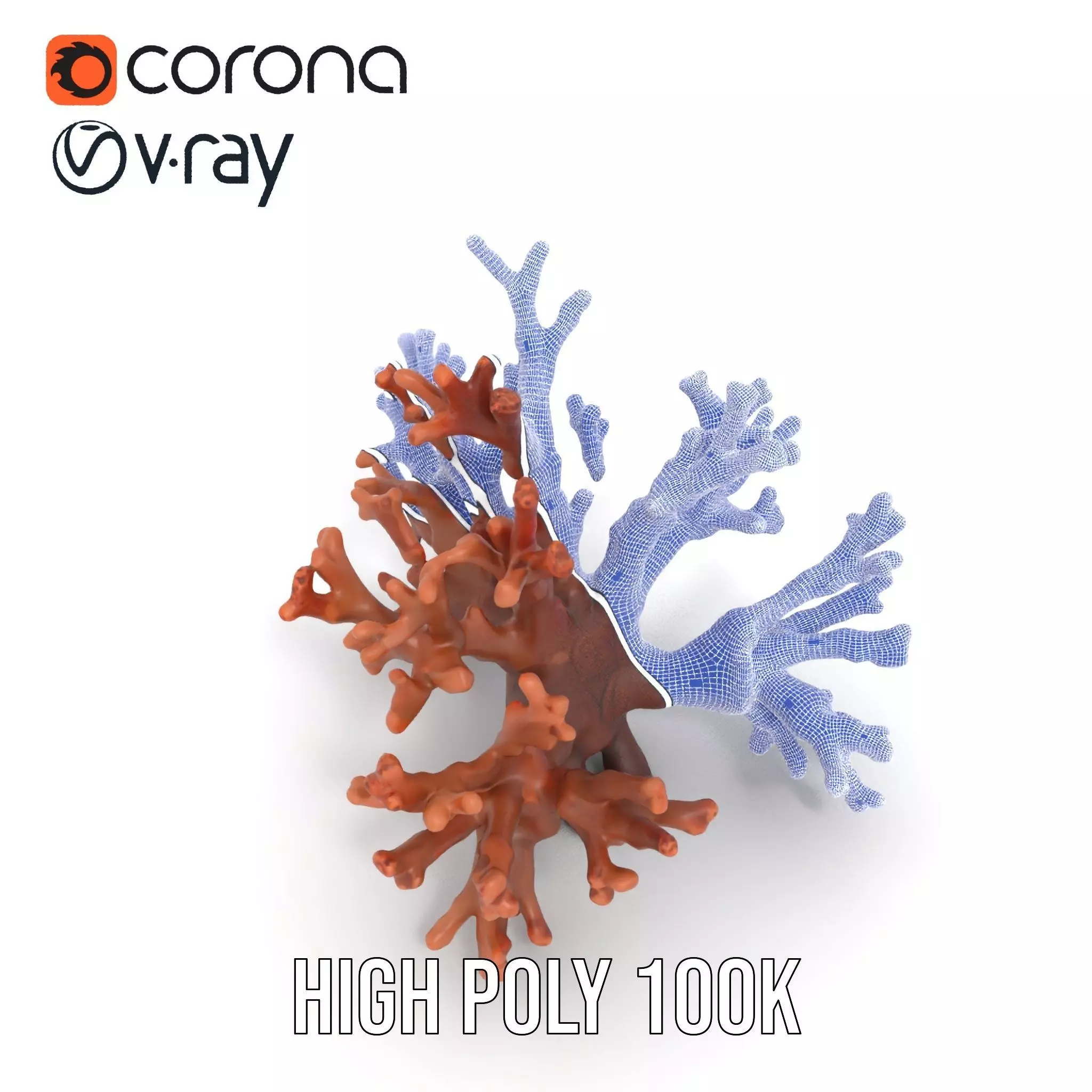 Rustic Coral Structure model pack Low-poly 3D model_29