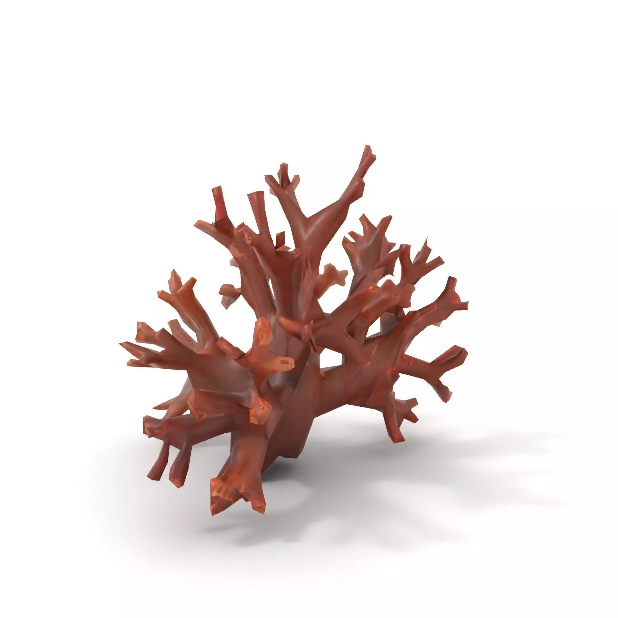 Rustic Coral Structure model pack Low-poly 3D model_7