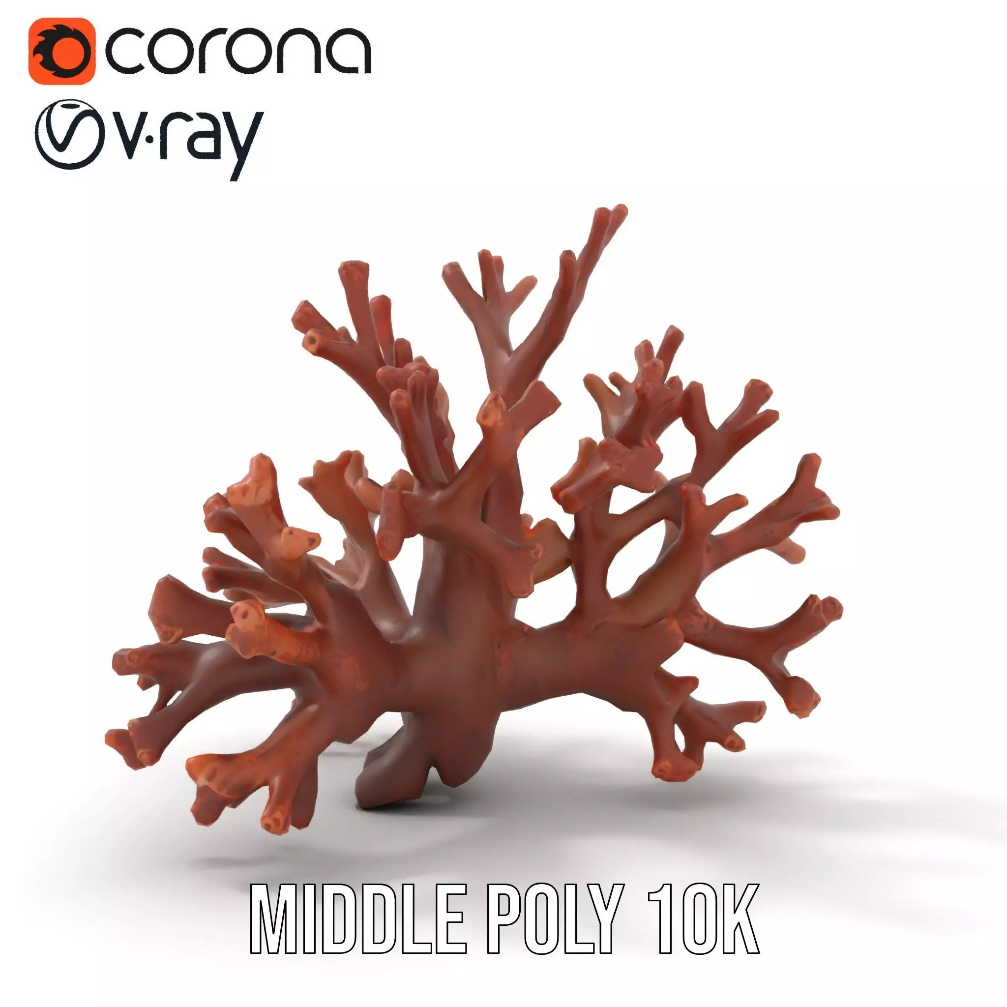 Rustic Coral Structure model pack Low-poly 3D model_5