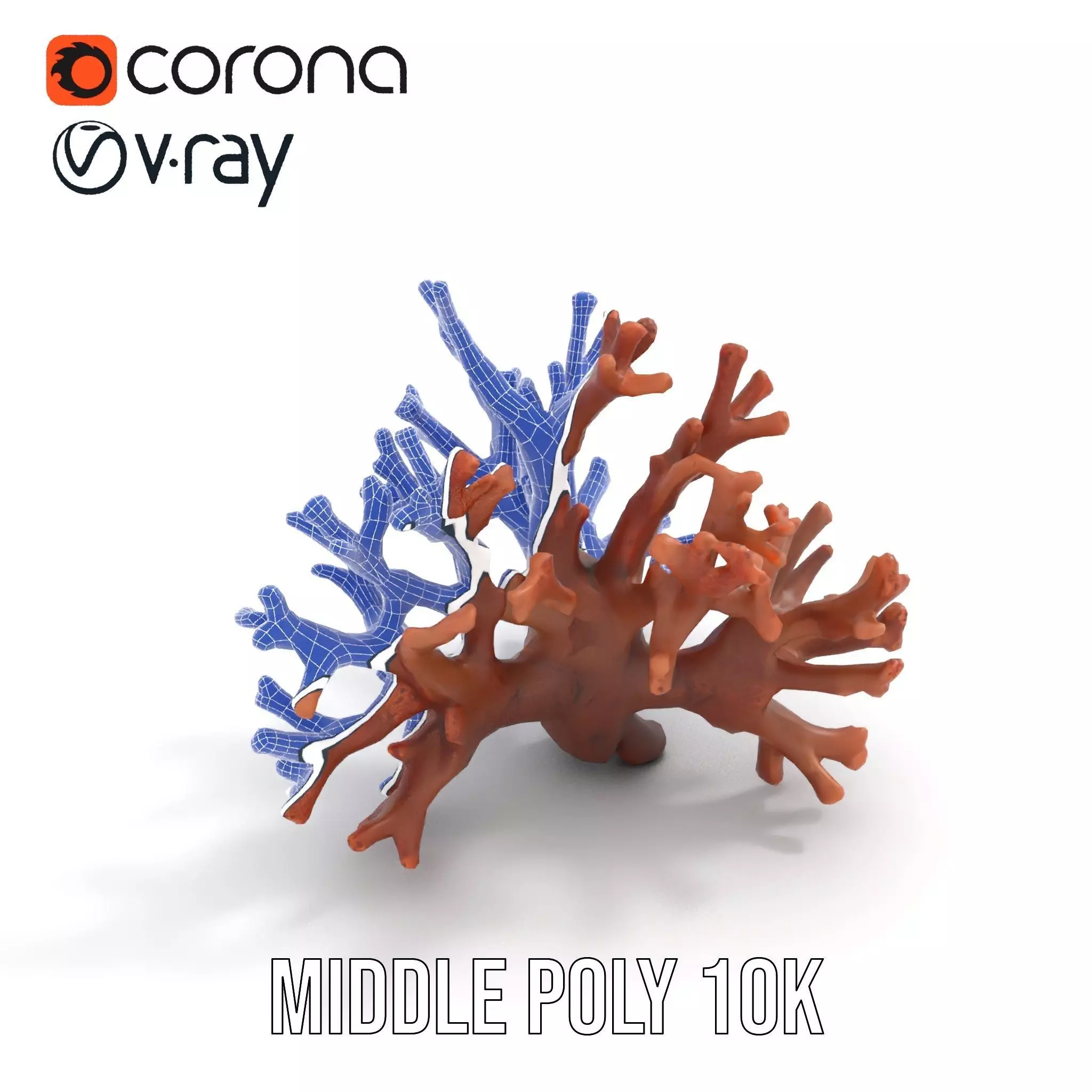 Rustic Coral Structure model pack Low-poly 3D model_18