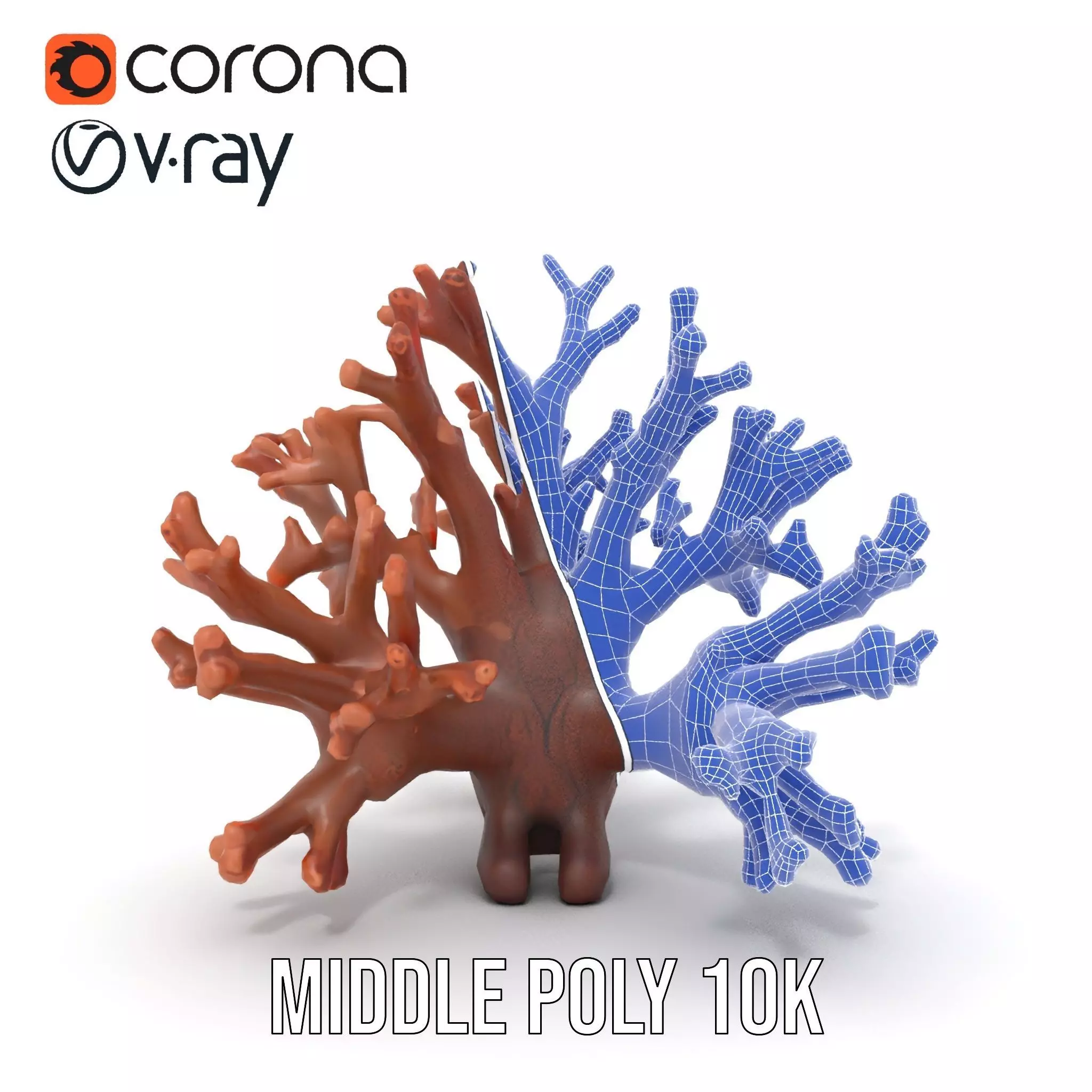 Rustic Coral Structure model pack Low-poly 3D model_30