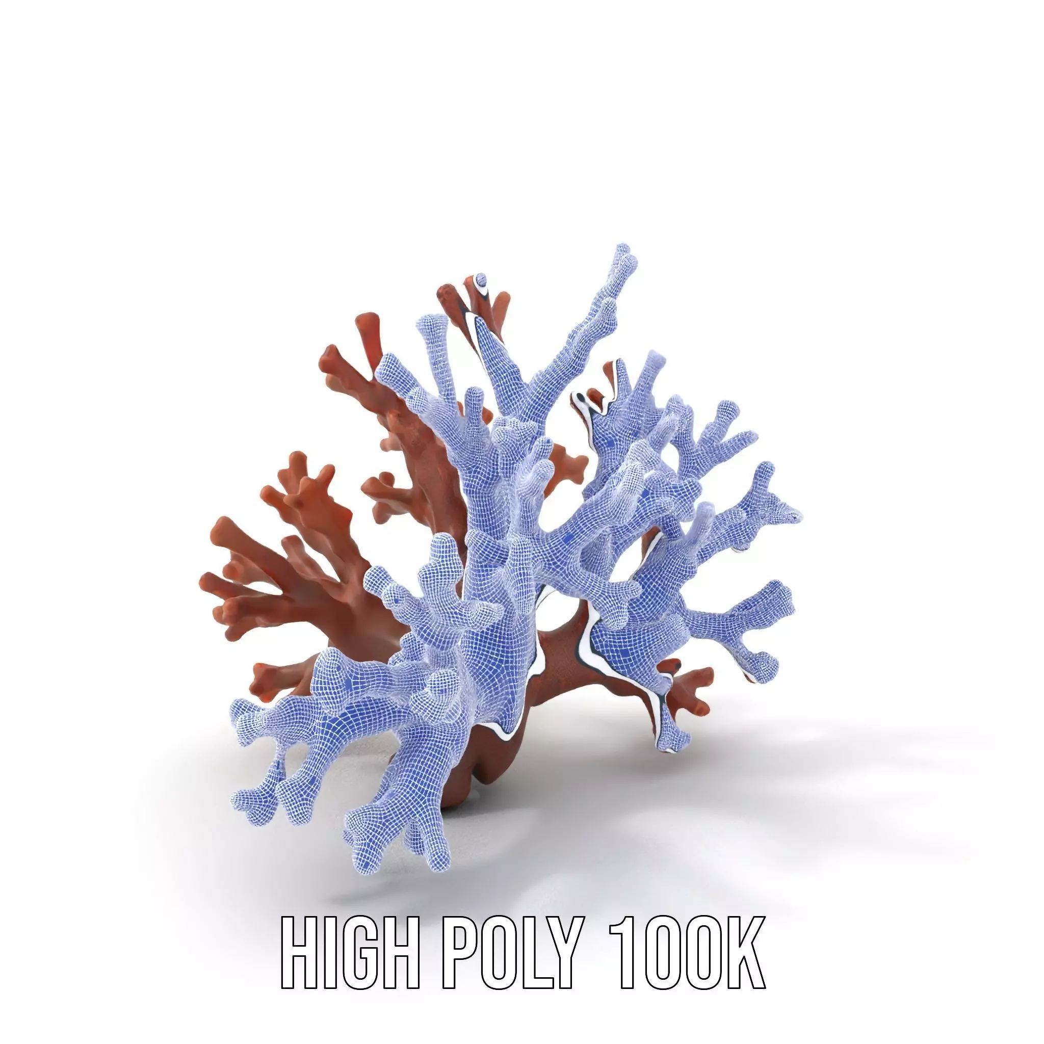 Rustic Coral Structure model pack Low-poly 3D model_4