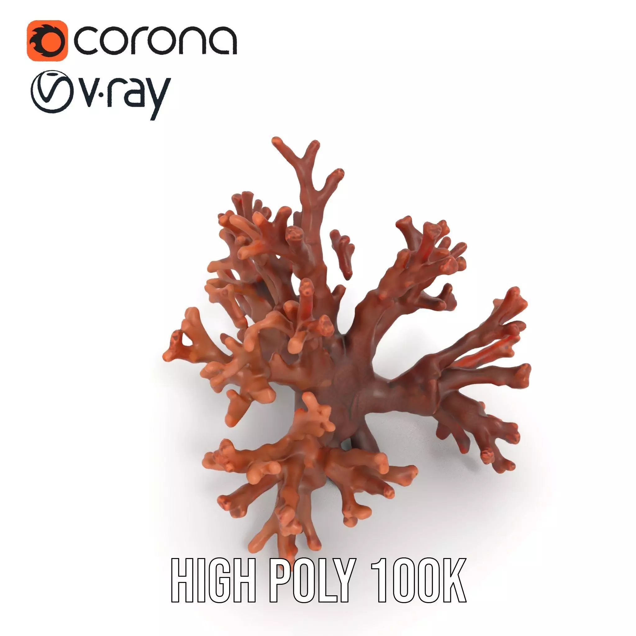 Rustic Coral Structure model pack Low-poly 3D model_15
