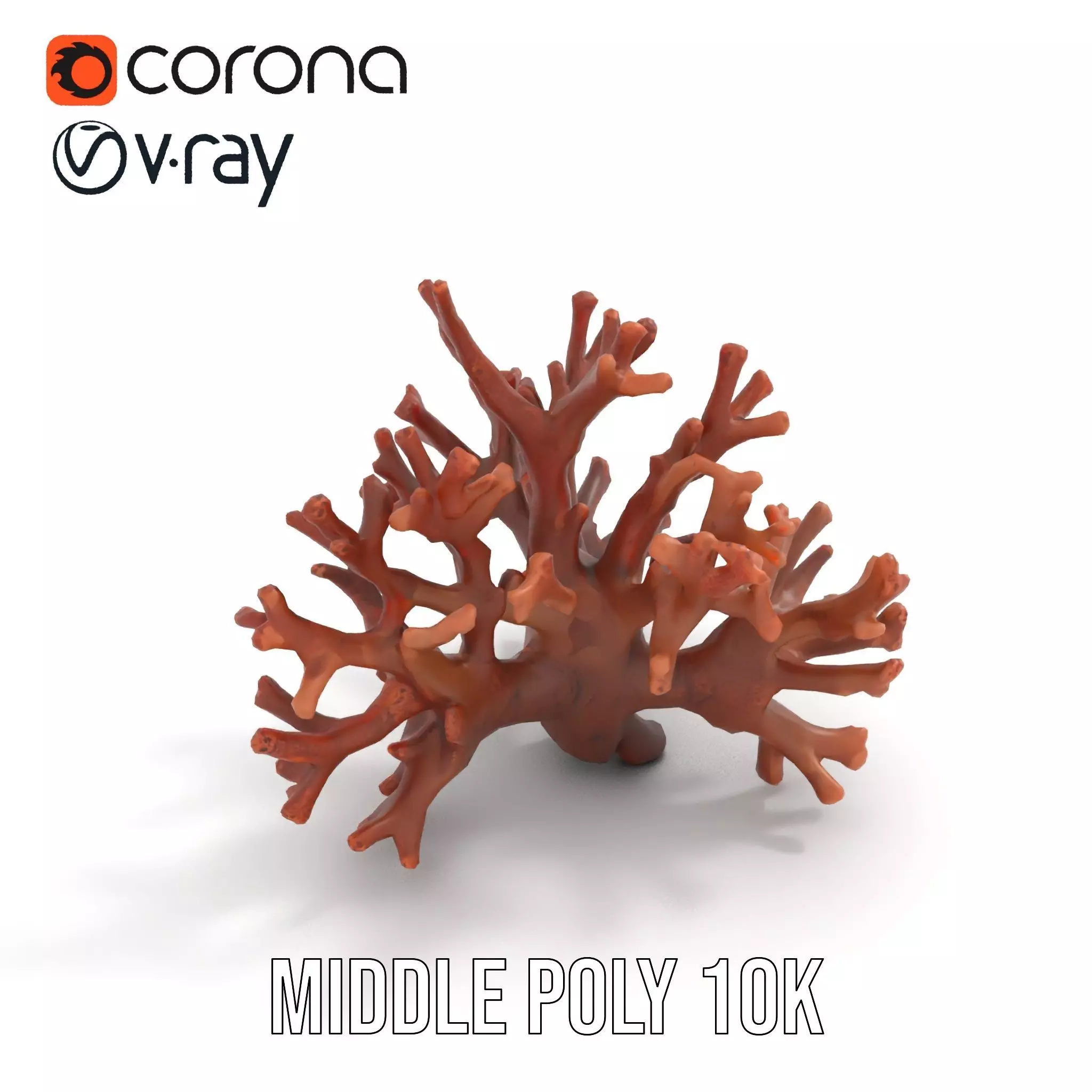 Rustic Coral Structure model pack Low-poly 3D model_21