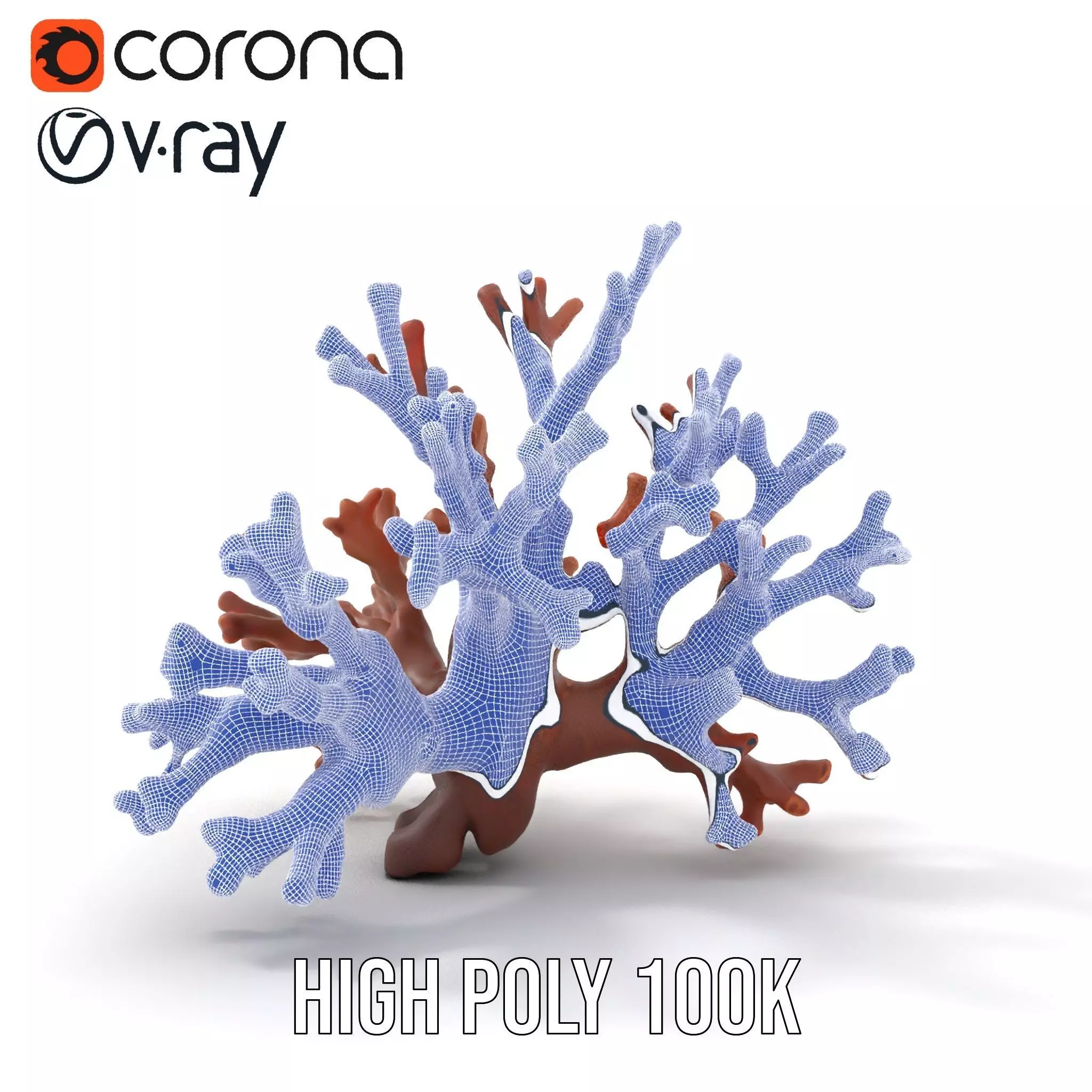 Rustic Coral Structure model pack Low-poly 3D model_33