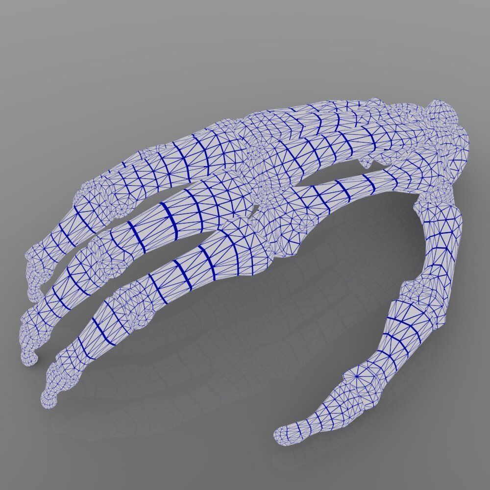 Hand Bone With Texture 3D model_6