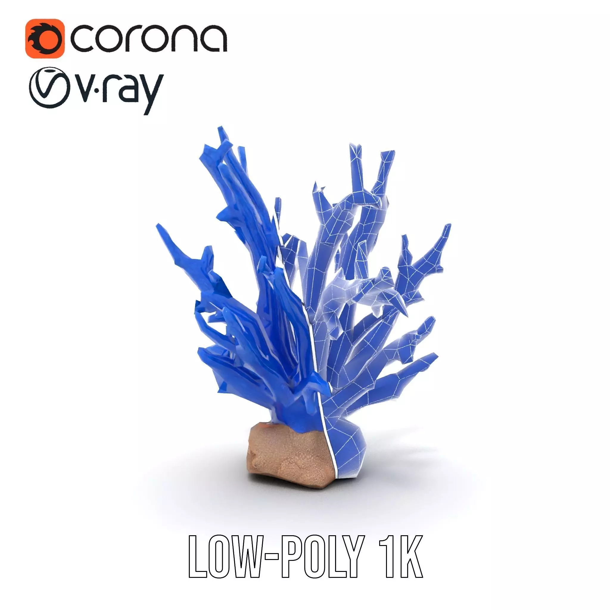 Azure Coral Branch model pack Low-poly 3D model_9