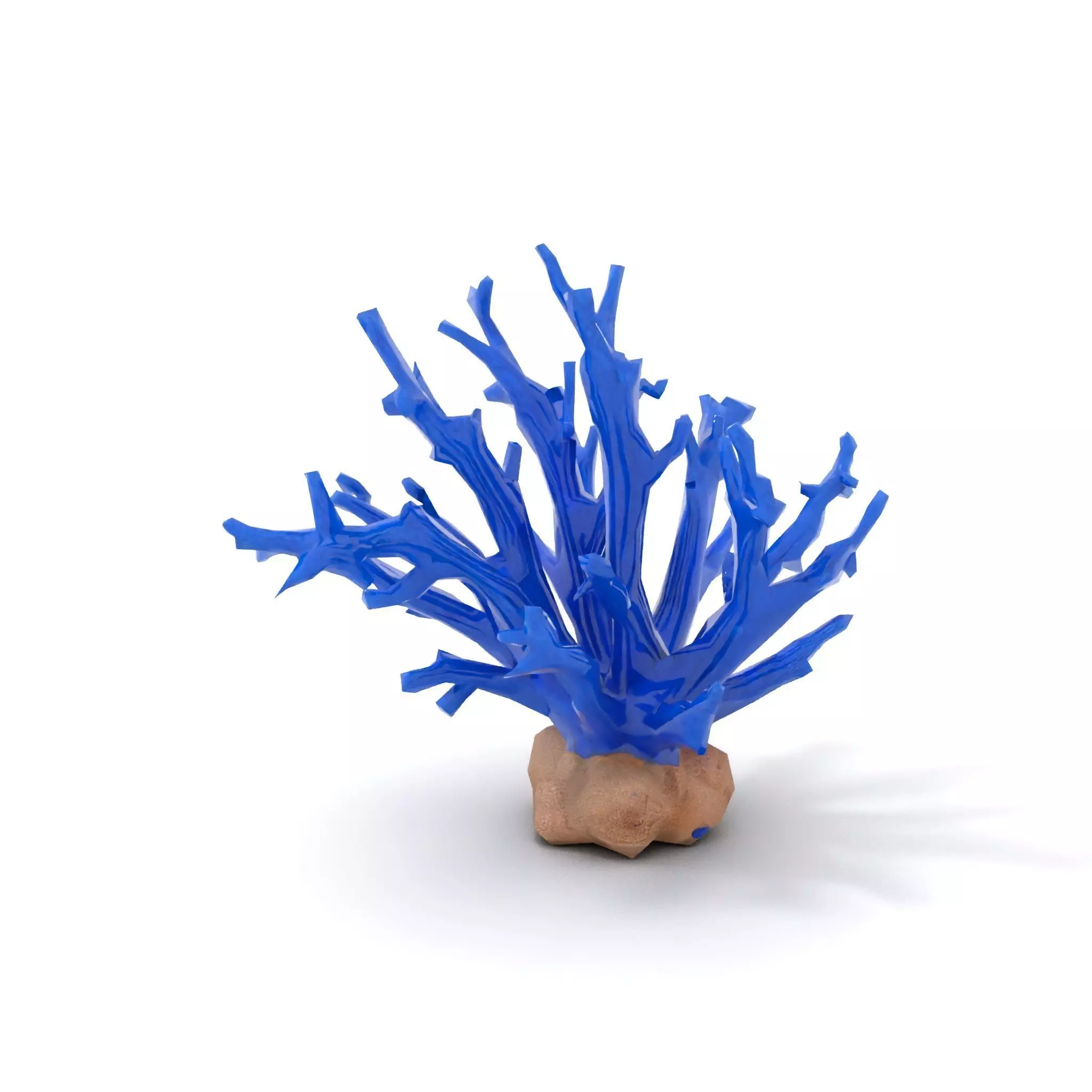 Azure Coral Branch model pack Low-poly 3D model_7