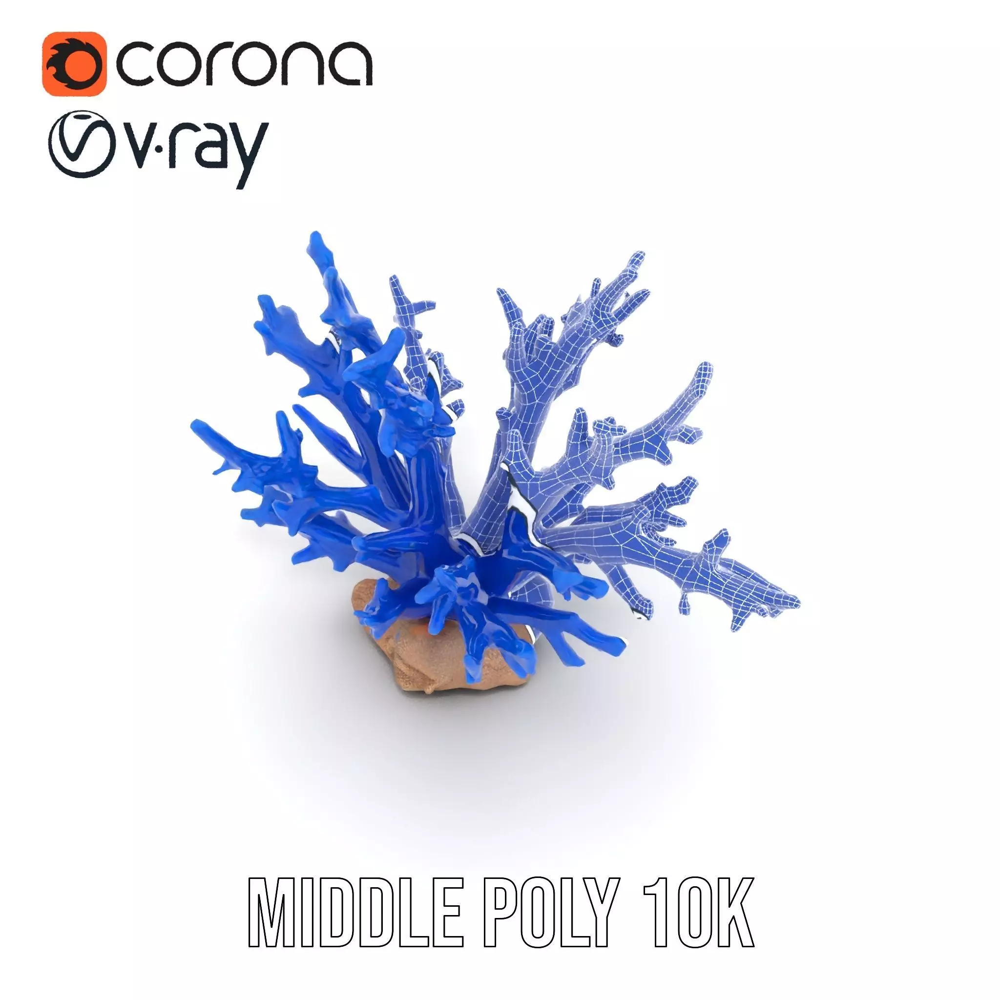 Azure Coral Branch model pack Low-poly 3D model_30