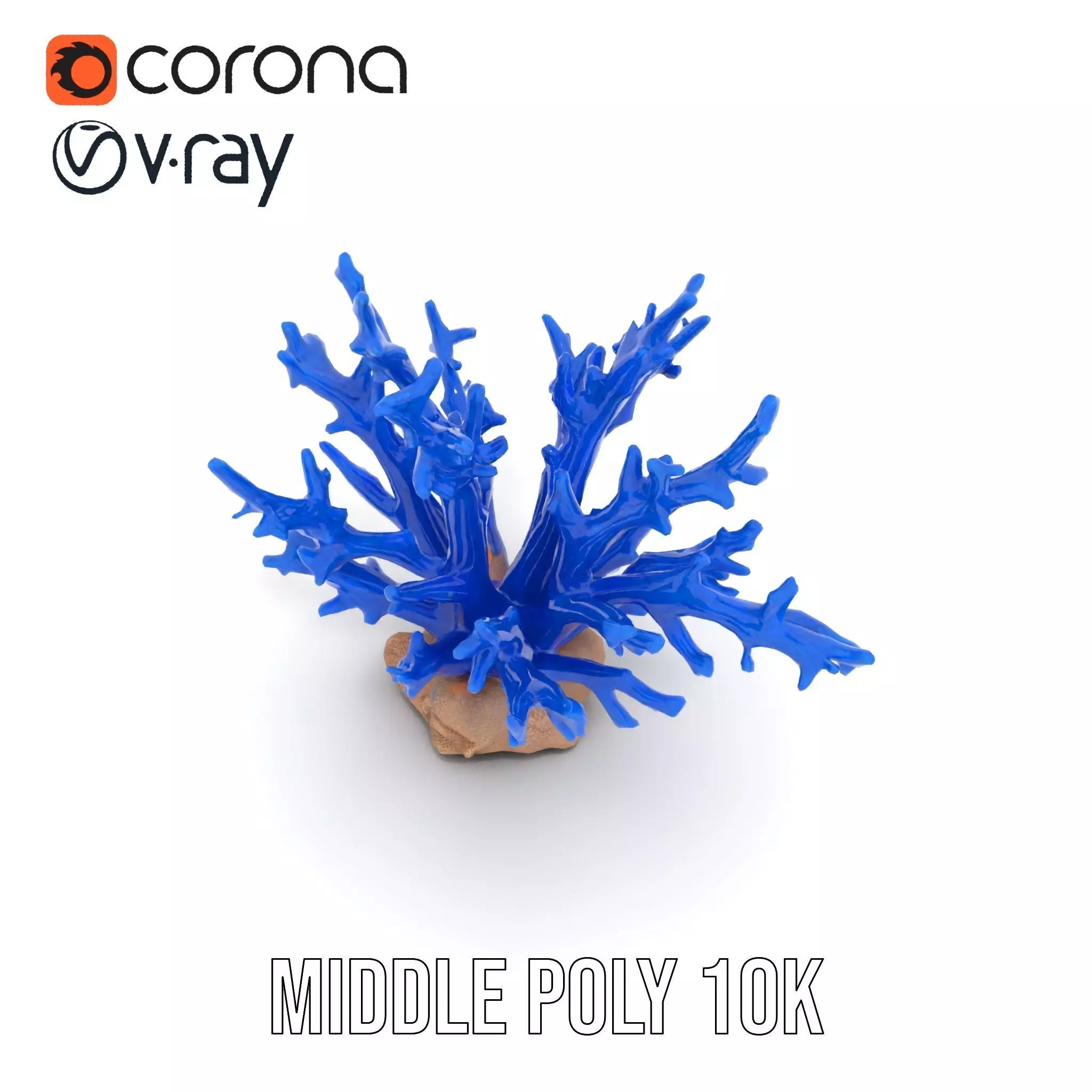 Azure Coral Branch model pack Low-poly 3D model_16