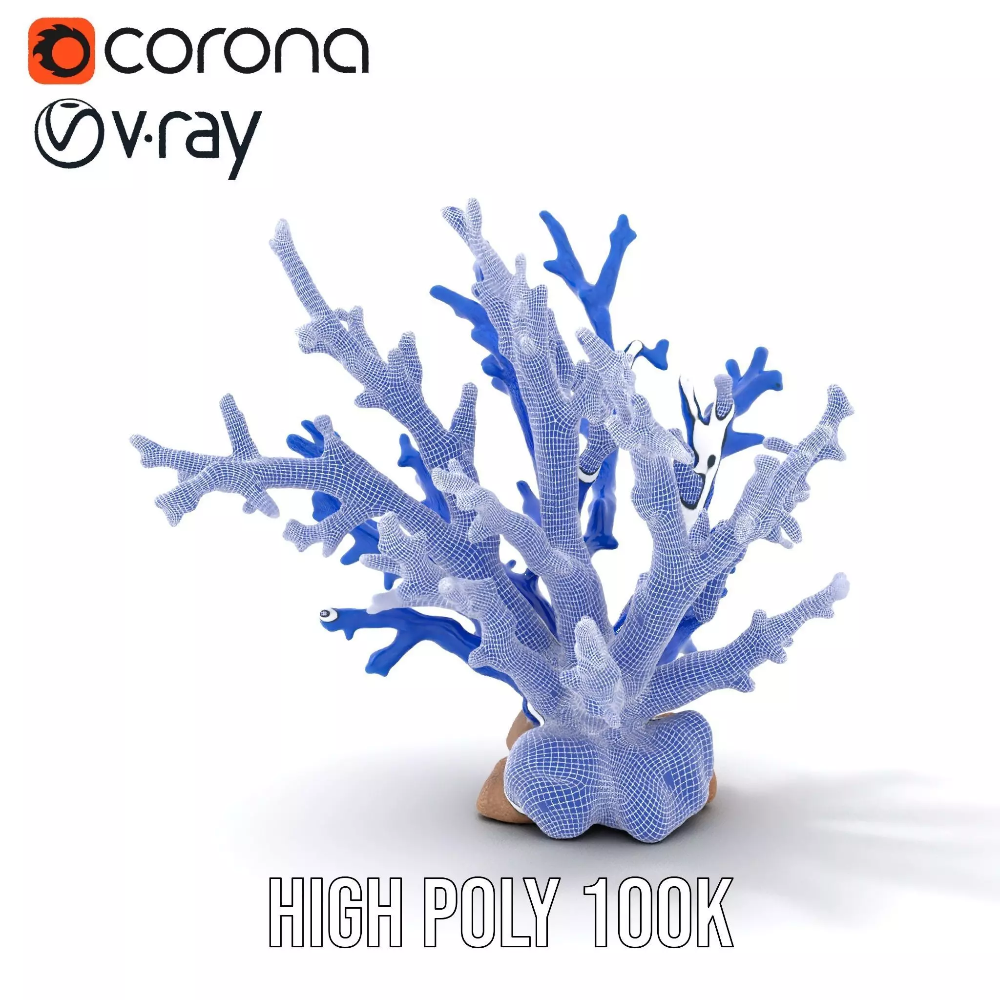 Azure Coral Branch model pack Low-poly 3D model_32