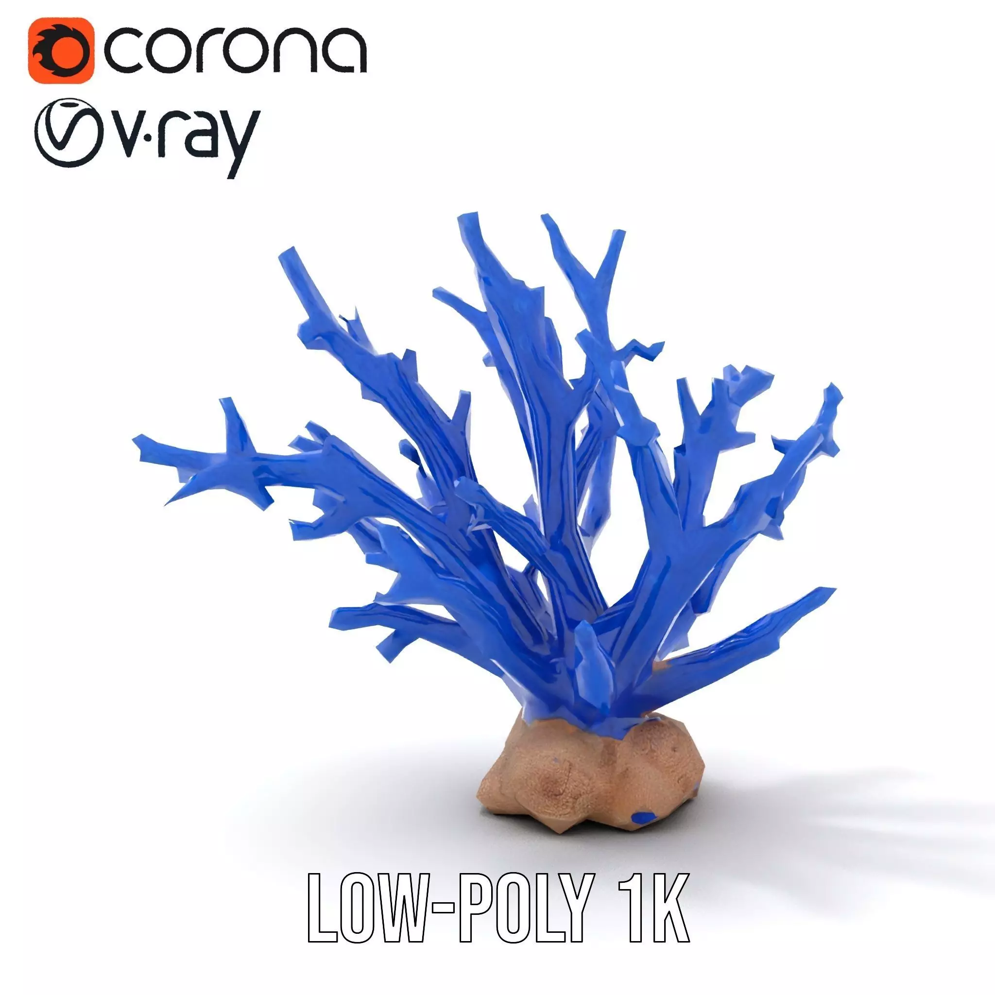 Azure Coral Branch model pack Low-poly 3D model_31