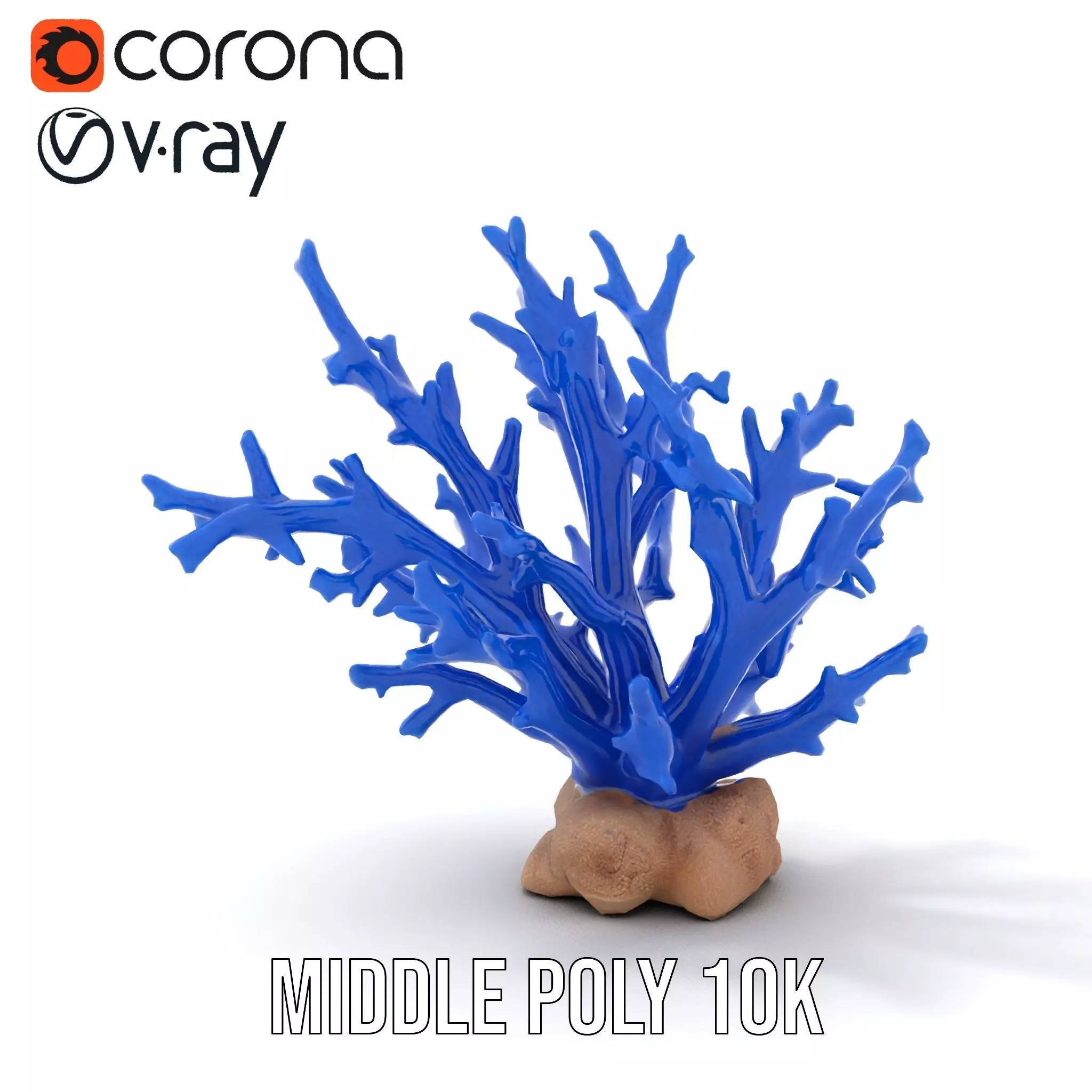 Azure Coral Branch model pack Low-poly 3D model_11