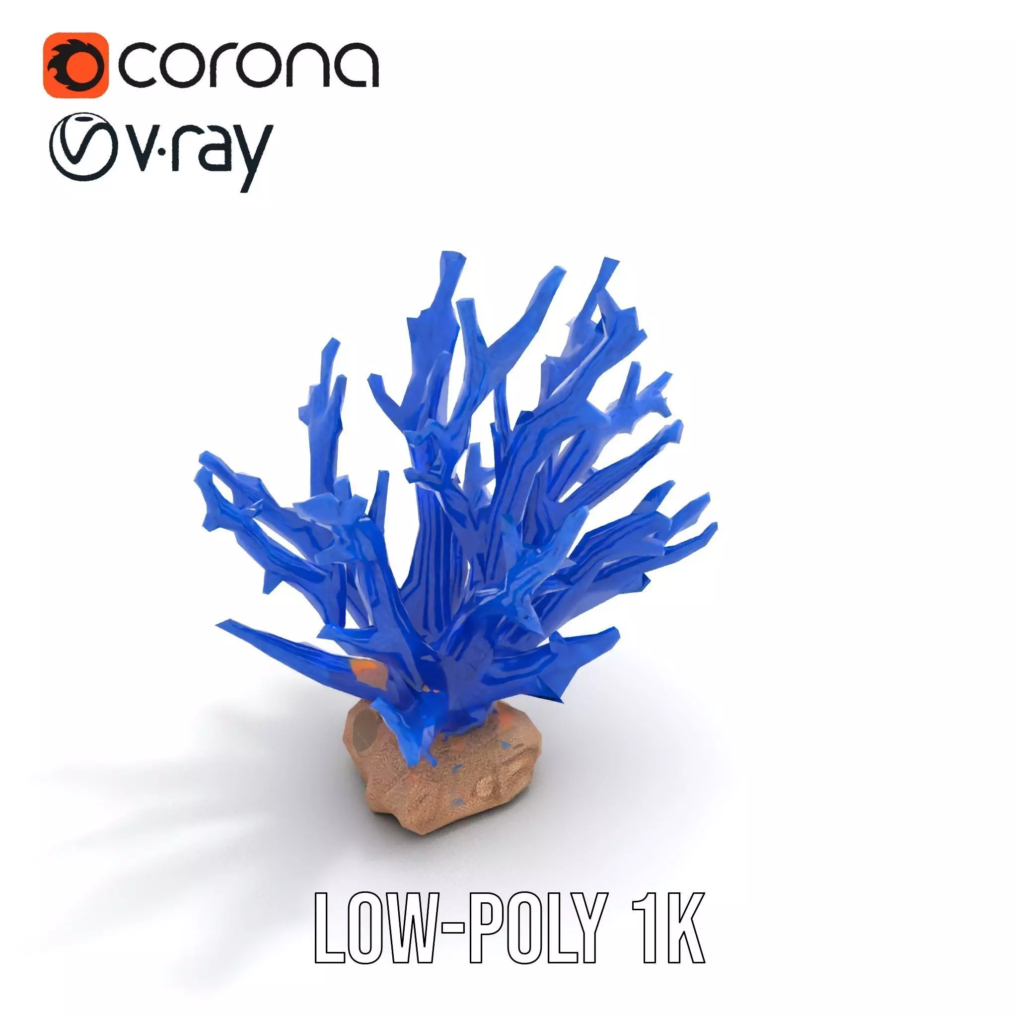 Azure Coral Branch model pack Low-poly 3D model_12