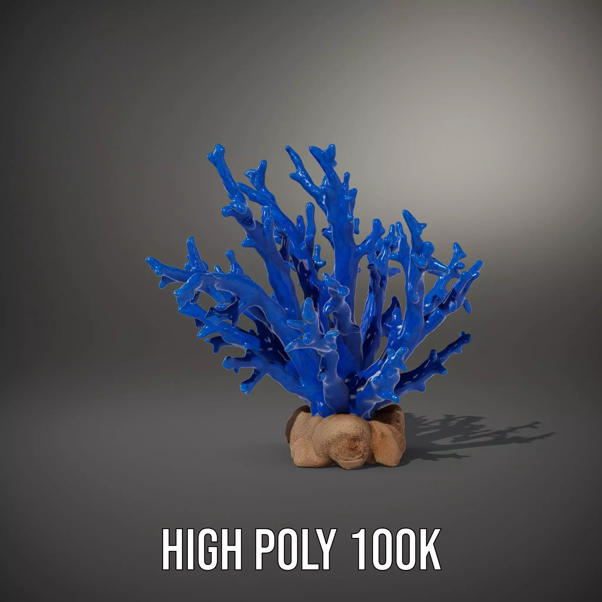 Azure Coral Branch model pack Low-poly 3D model_10