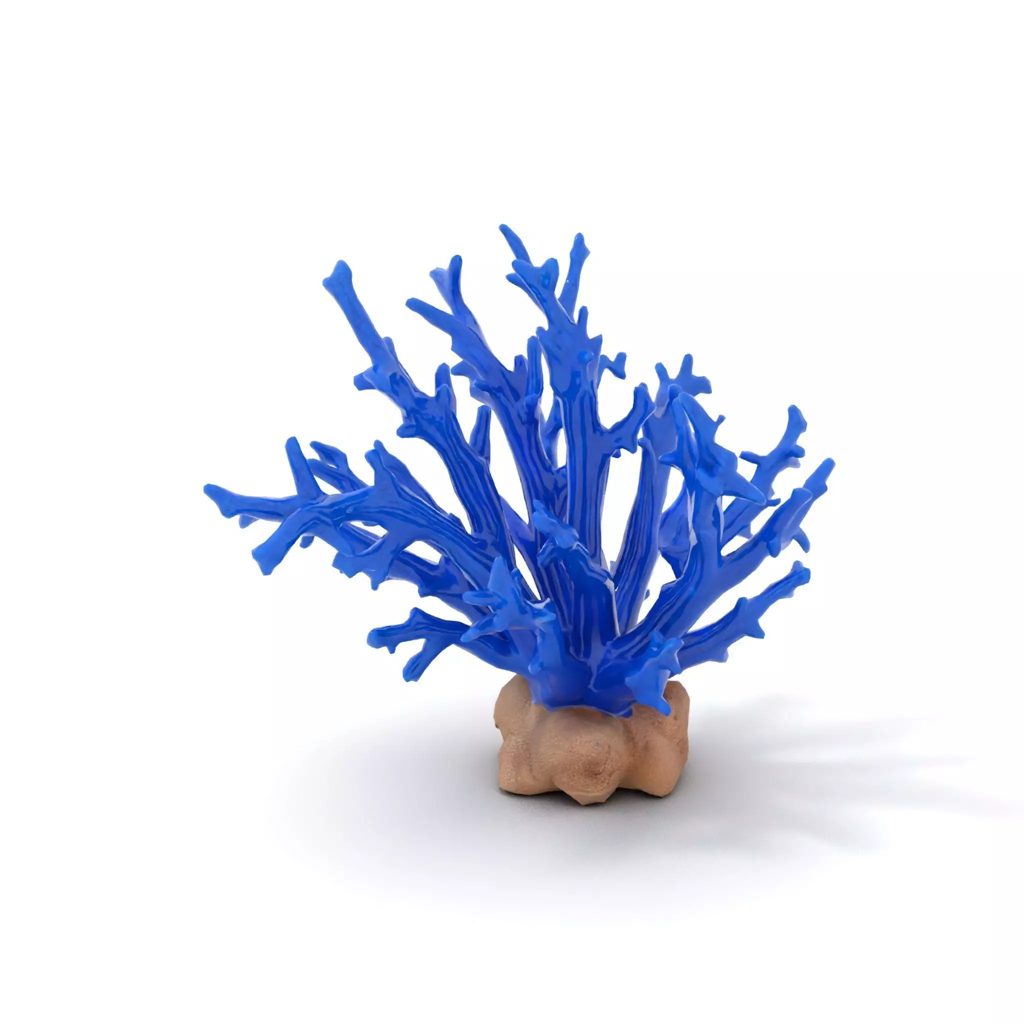 Azure Coral Branch model pack Low-poly 3D model_5