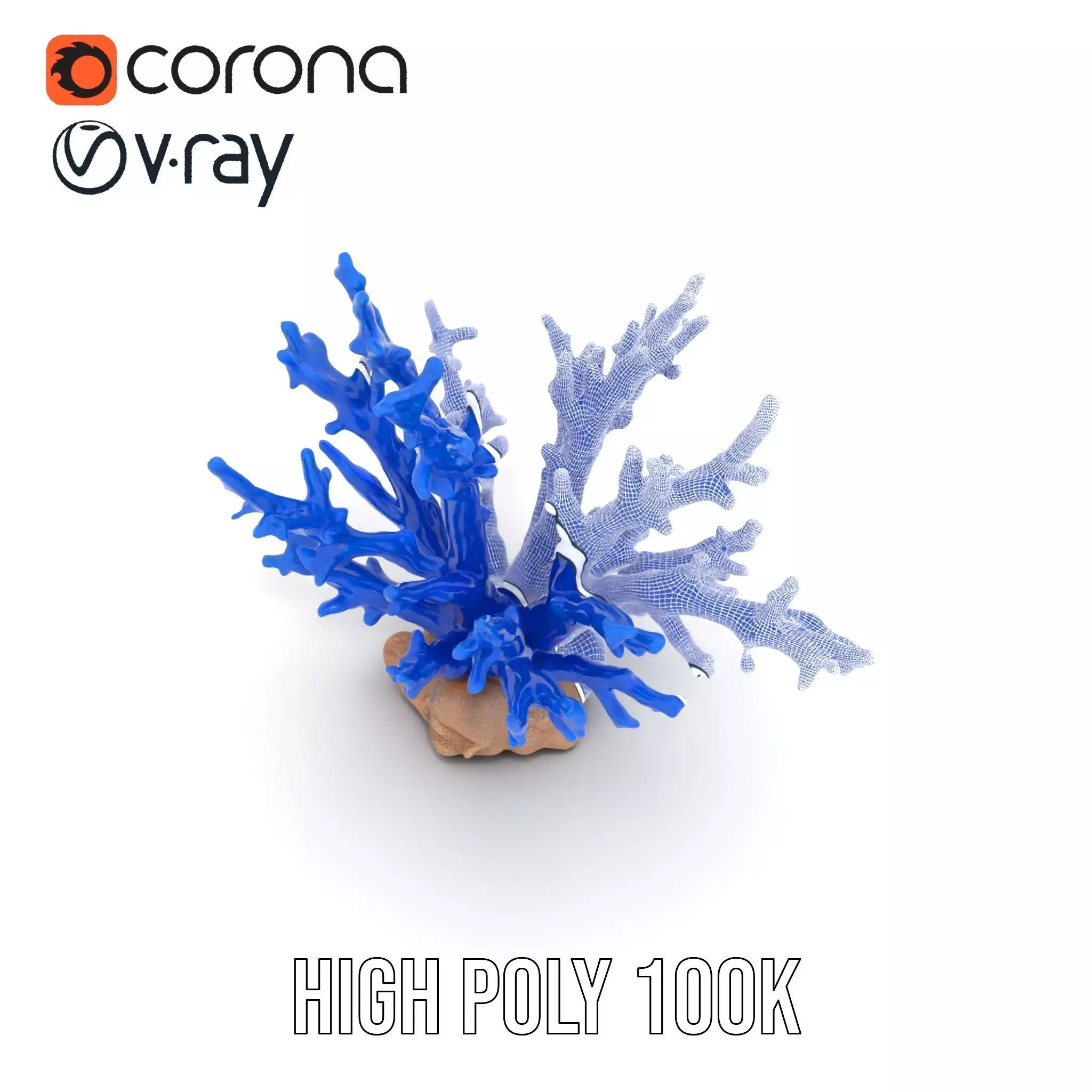 Azure Coral Branch model pack Low-poly 3D model_29