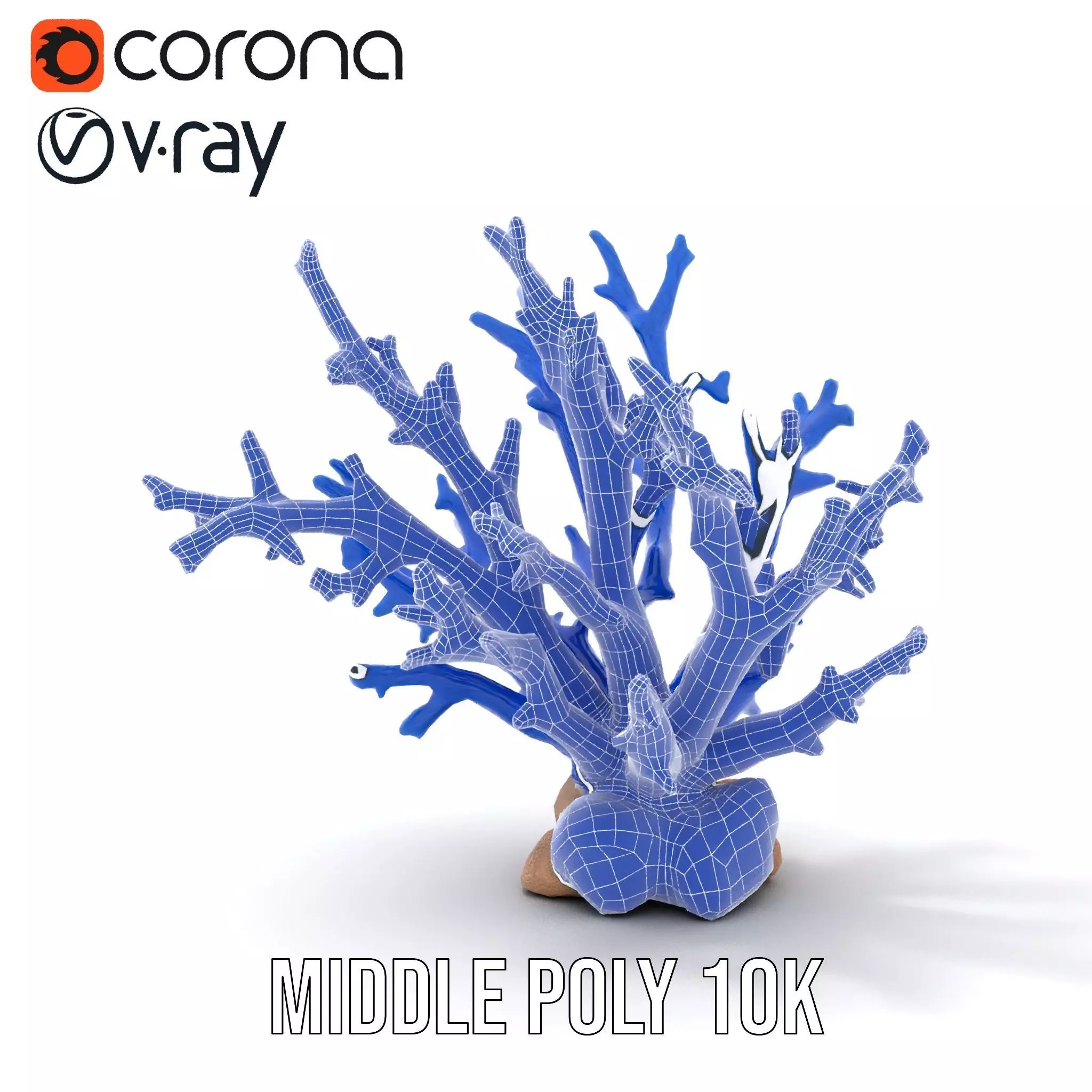 Azure Coral Branch model pack Low-poly 3D model_24