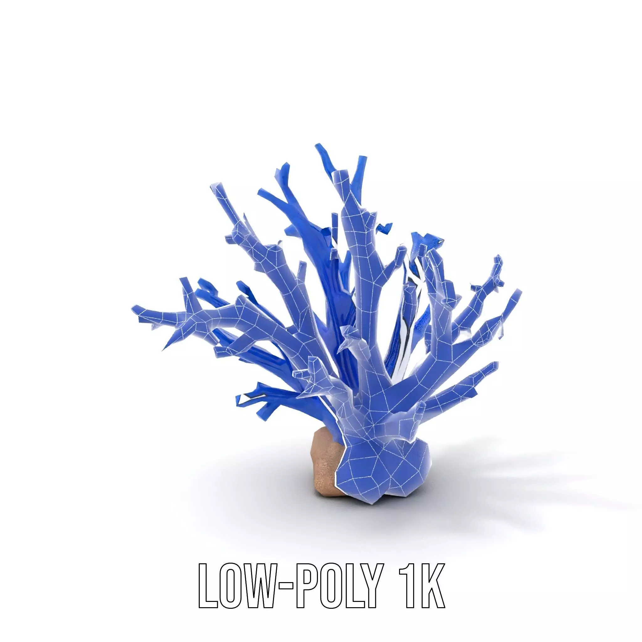 Azure Coral Branch model pack Low-poly 3D model_28