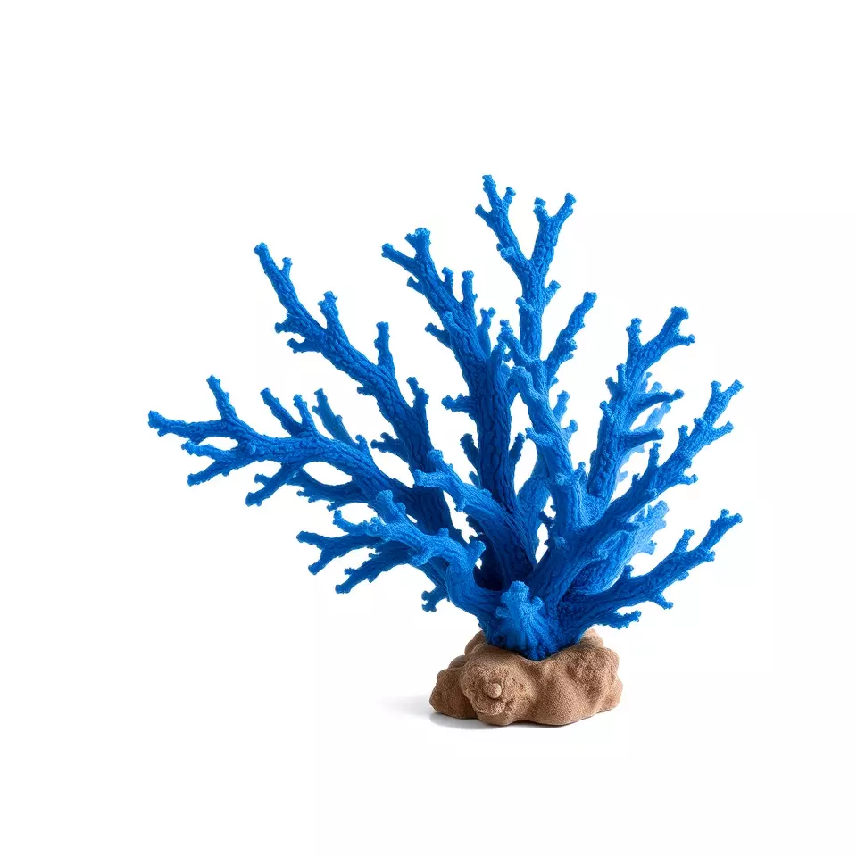 Azure Coral Branch model pack Low-poly 3D model_2