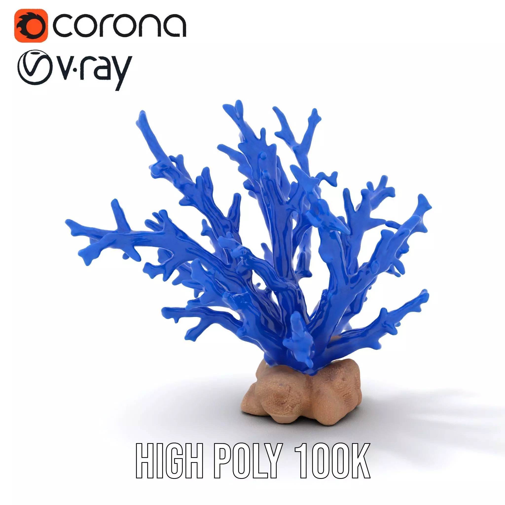 Azure Coral Branch model pack Low-poly 3D model_15