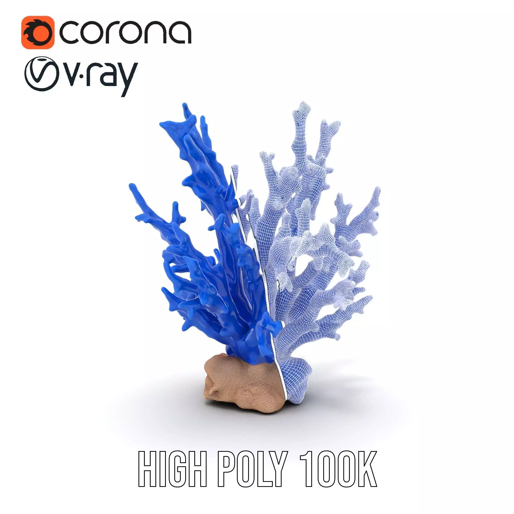 Azure Coral Branch model pack Low-poly 3D model_34