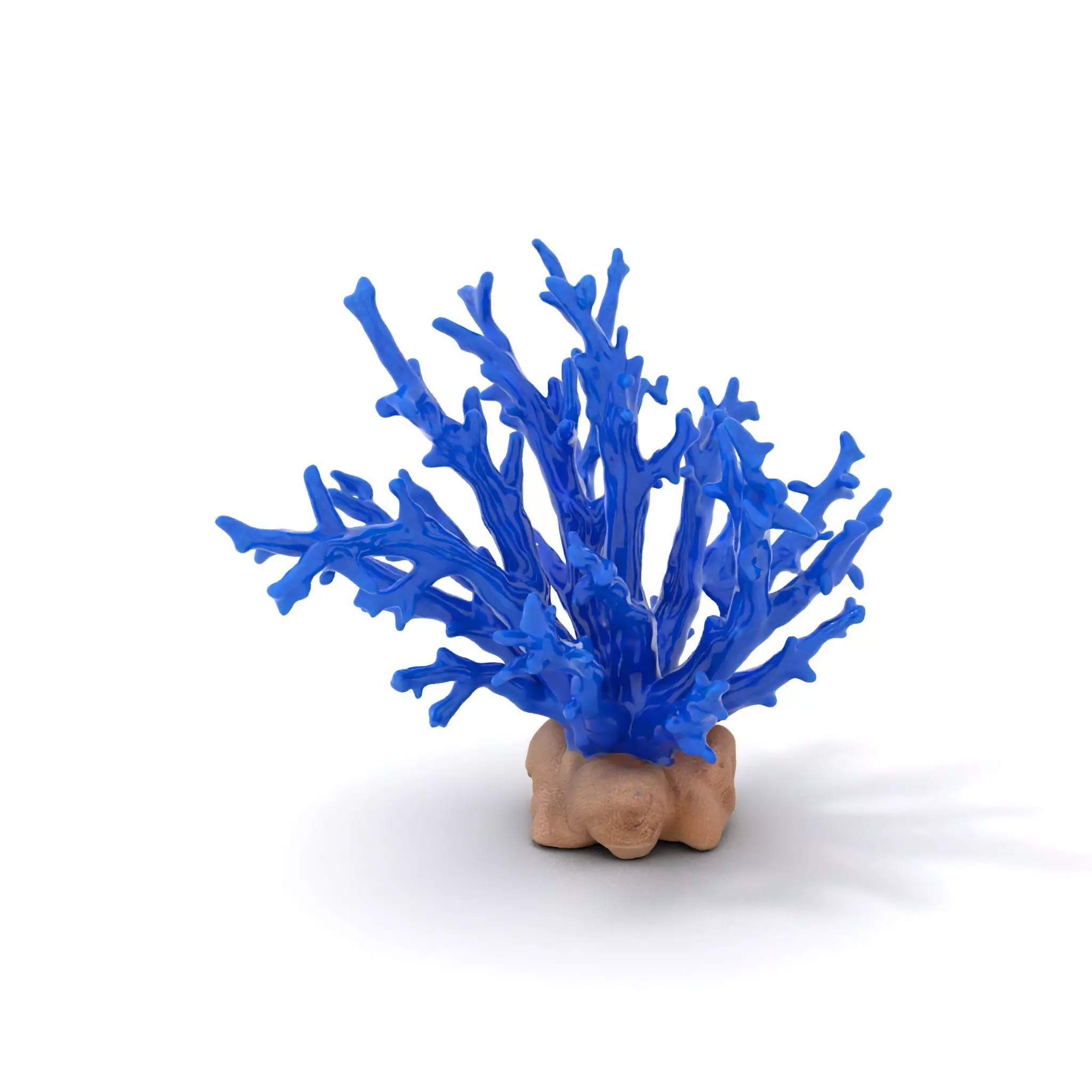 Azure Coral Branch model pack Low-poly 3D model_0