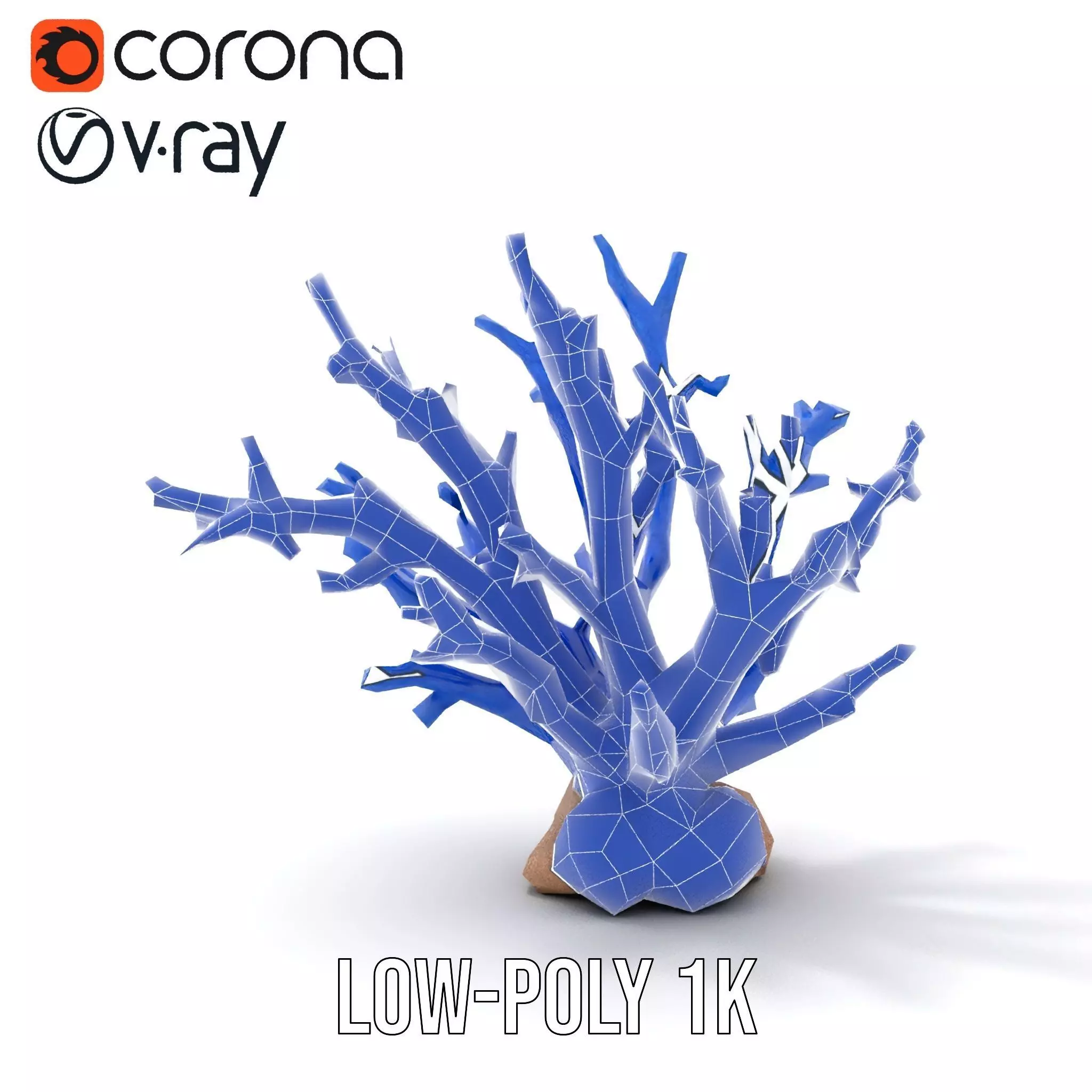 Azure Coral Branch model pack Low-poly 3D model_20