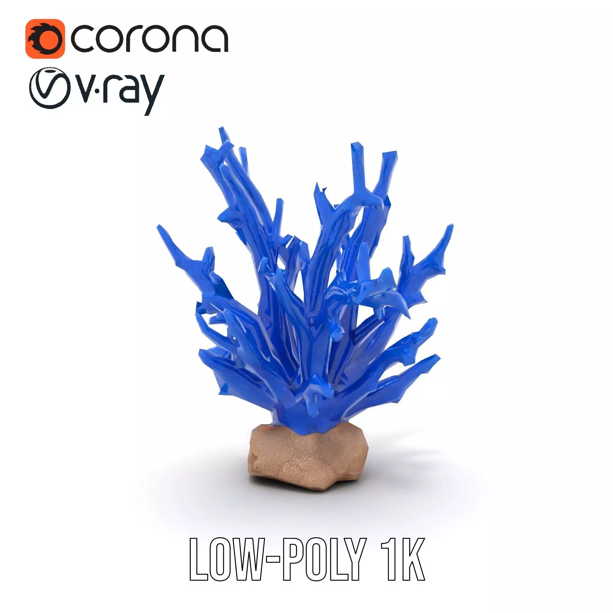 Azure Coral Branch model pack Low-poly 3D model_14