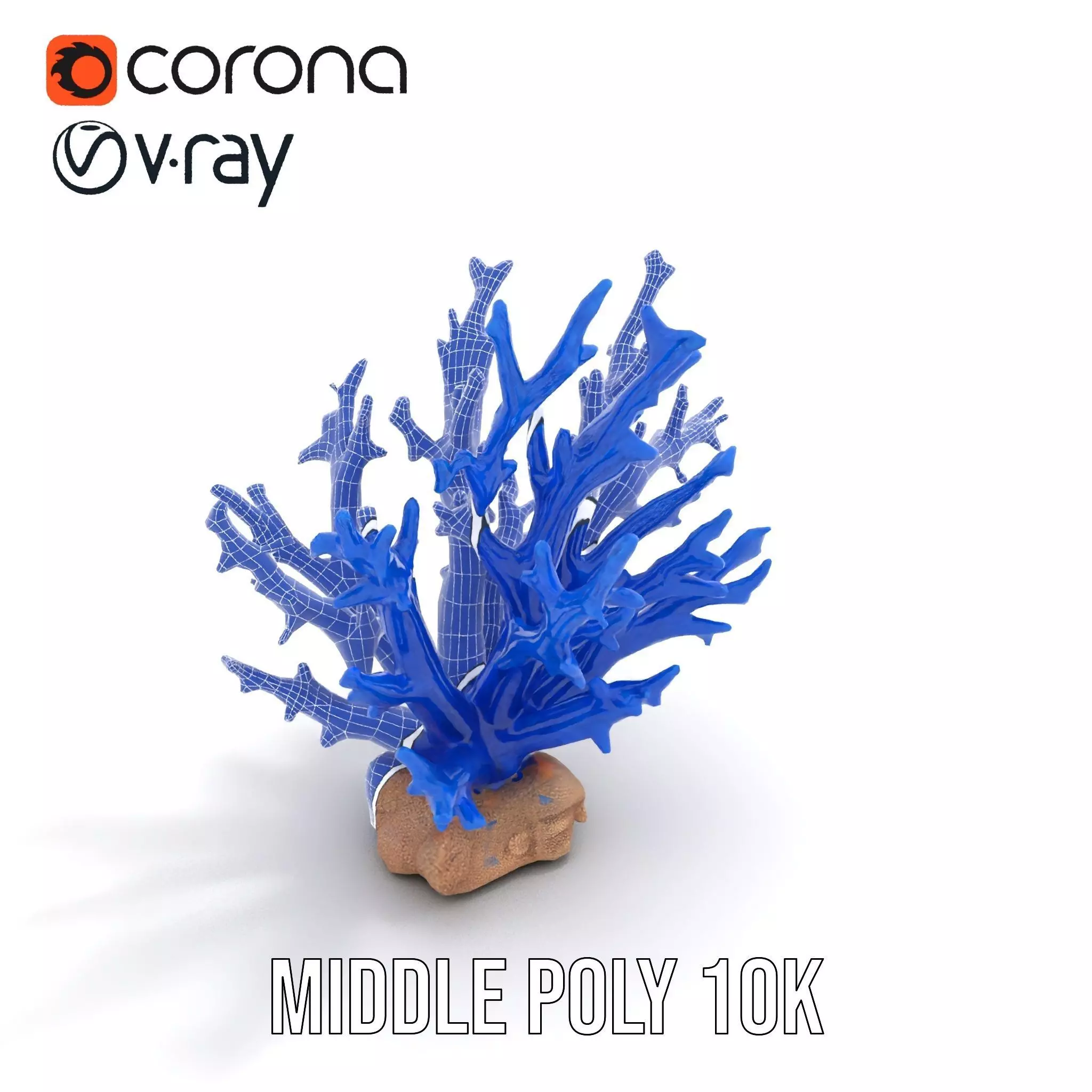 Azure Coral Branch model pack Low-poly 3D model_21