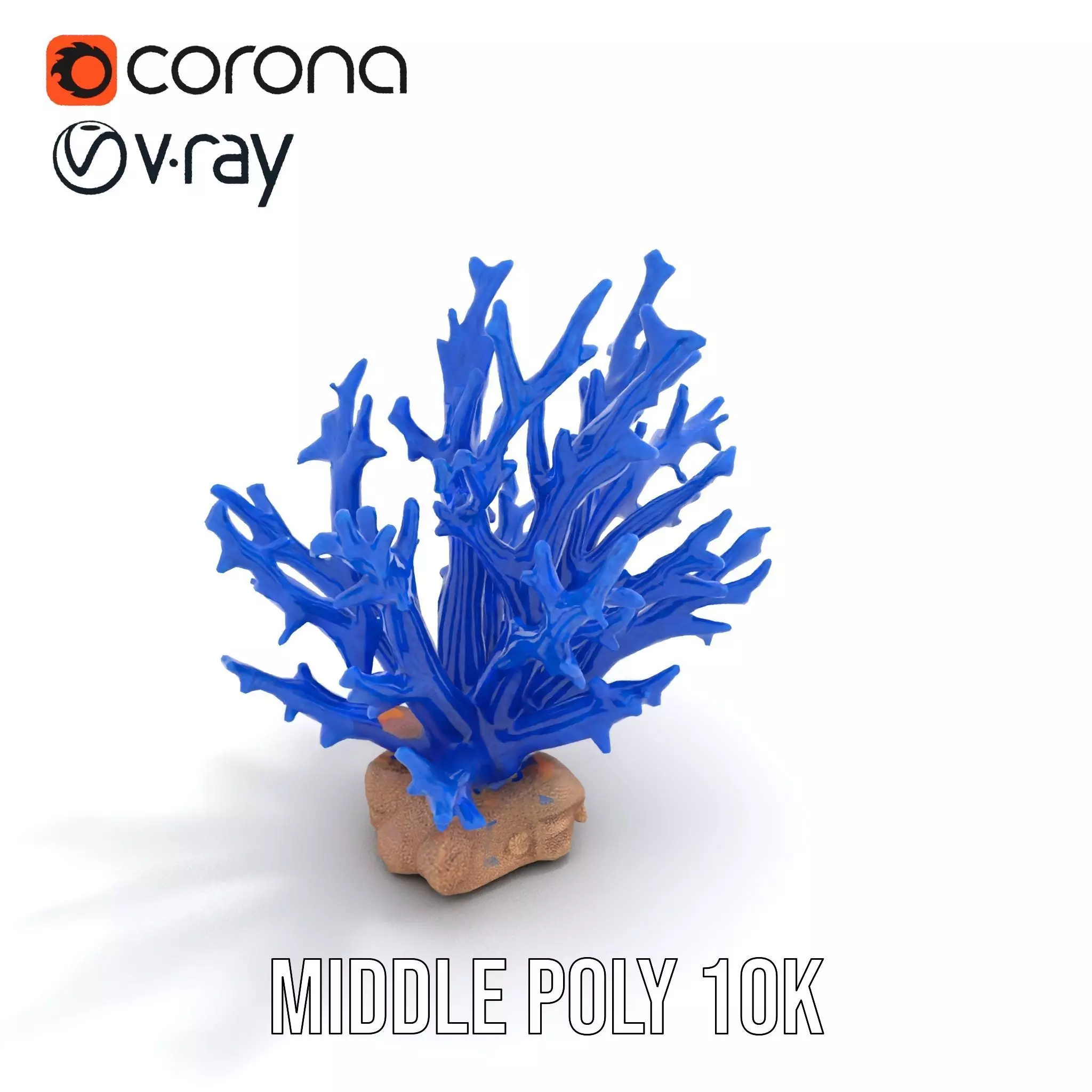 Azure Coral Branch model pack Low-poly 3D model_6