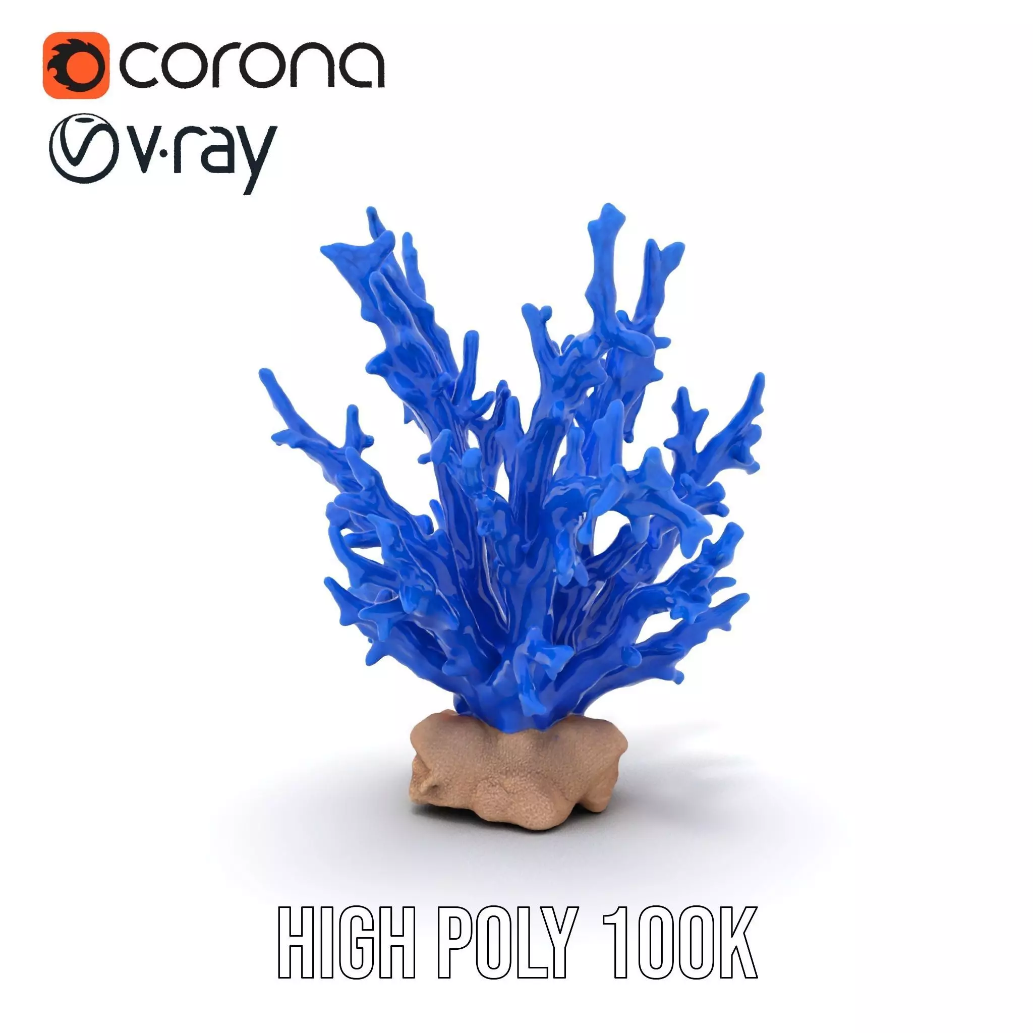 Azure Coral Branch model pack Low-poly 3D model_18
