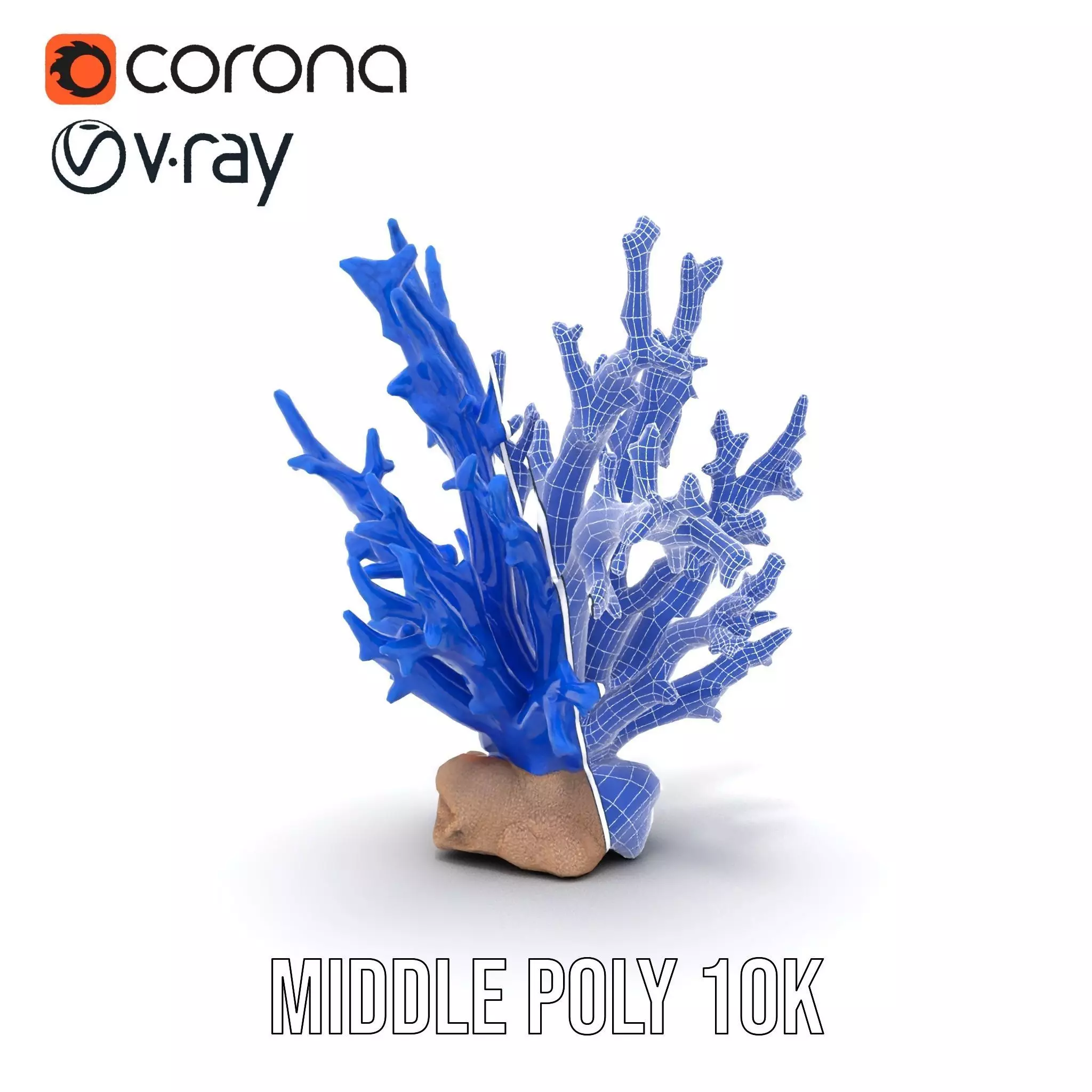 Azure Coral Branch model pack Low-poly 3D model_27